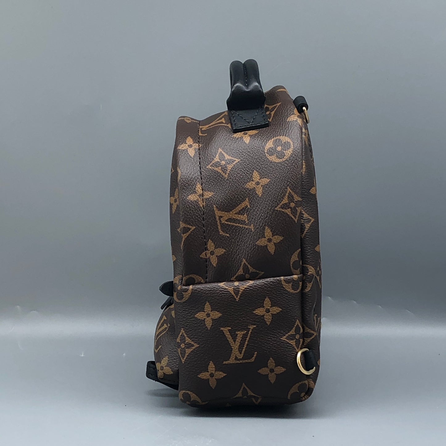 Louis Vuitton Palm Springs Mini Backpack Bag