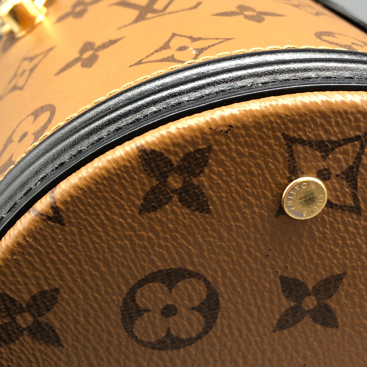 Louis Vuitton Cannes Monogram Canvas Bucket Bag Brown