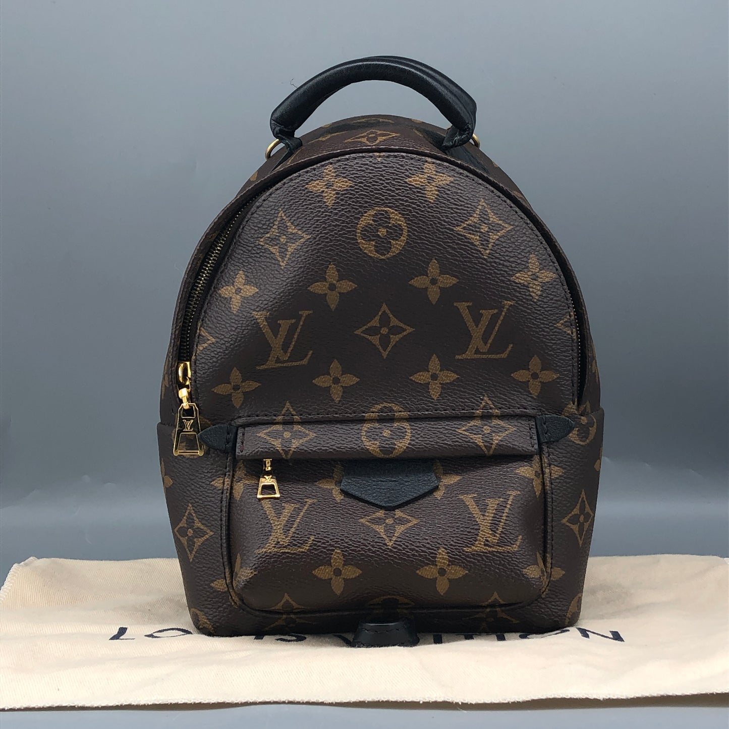 Louis Vuitton Palm Springs Mini Backpack Brown