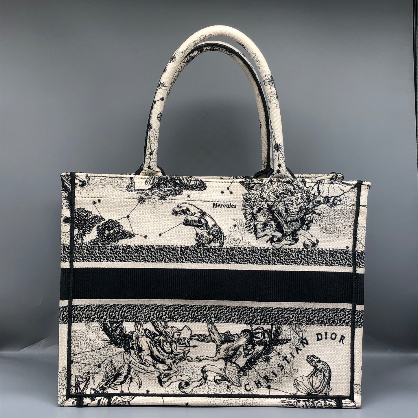 Christian Dior Book Tote Around The World Print Tote Bag White/Black