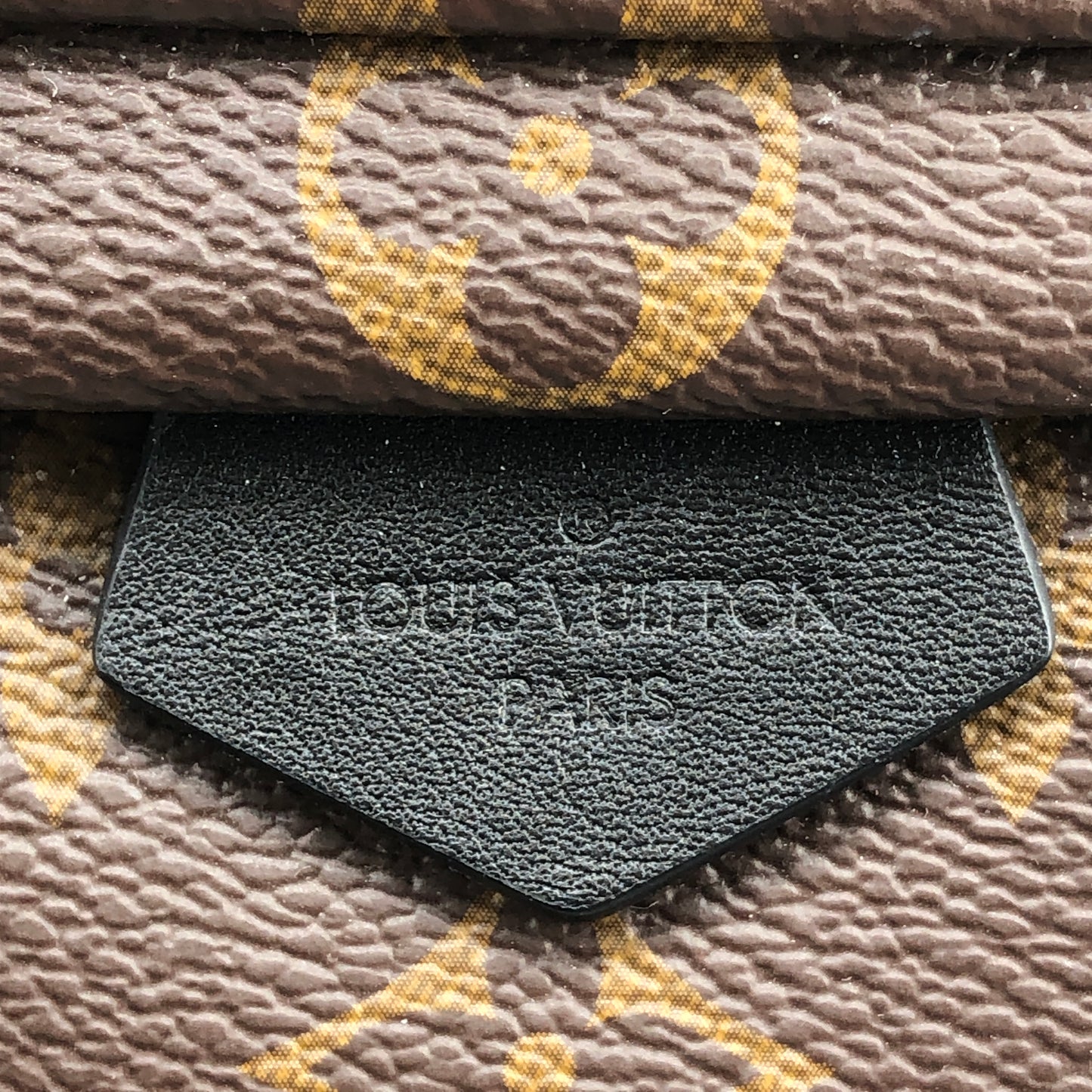 Louis Vuitton Mini Monogram Palm Spring Canvas Backpack Brown