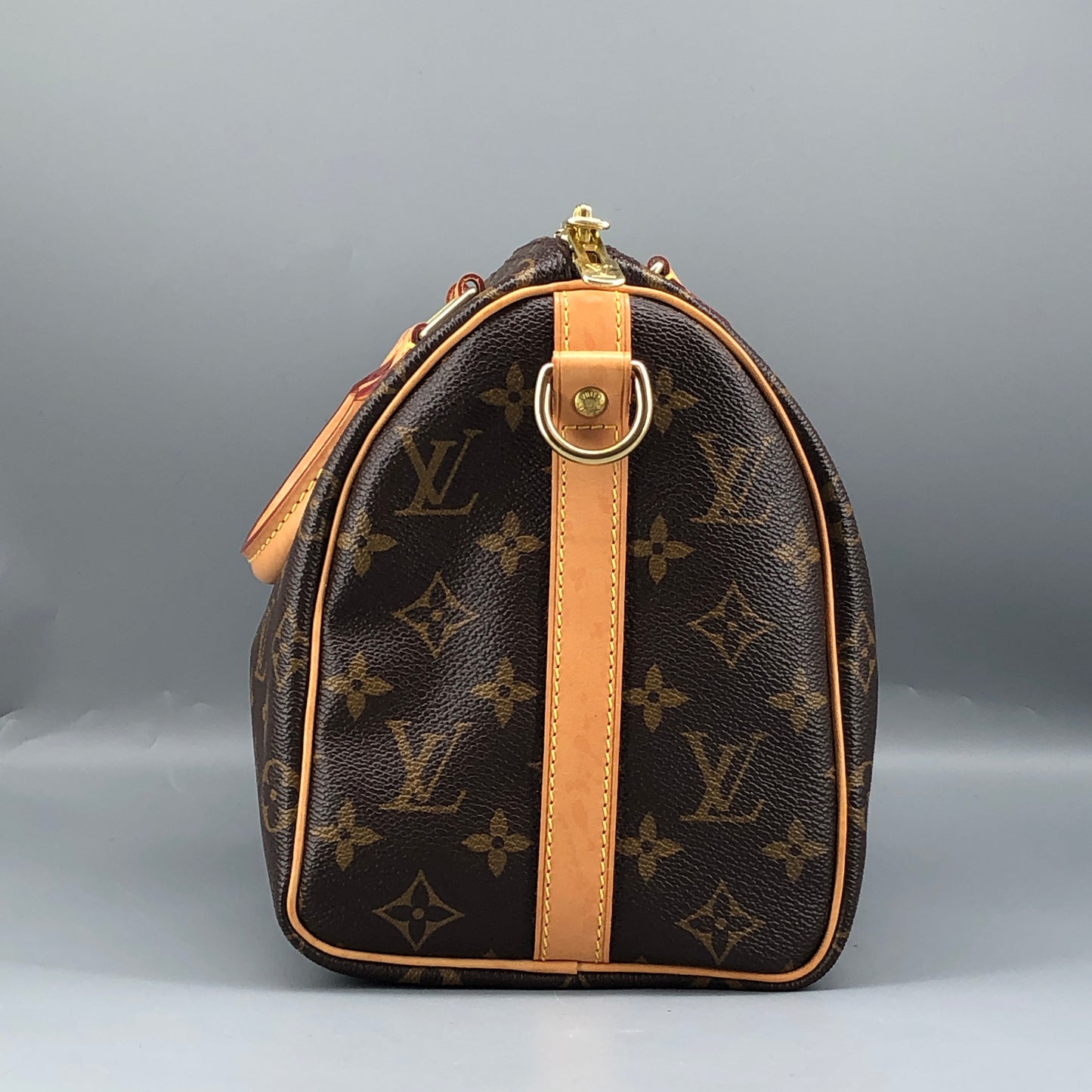 Louis Vuitton Speedy Bandoulière 25 Monogram