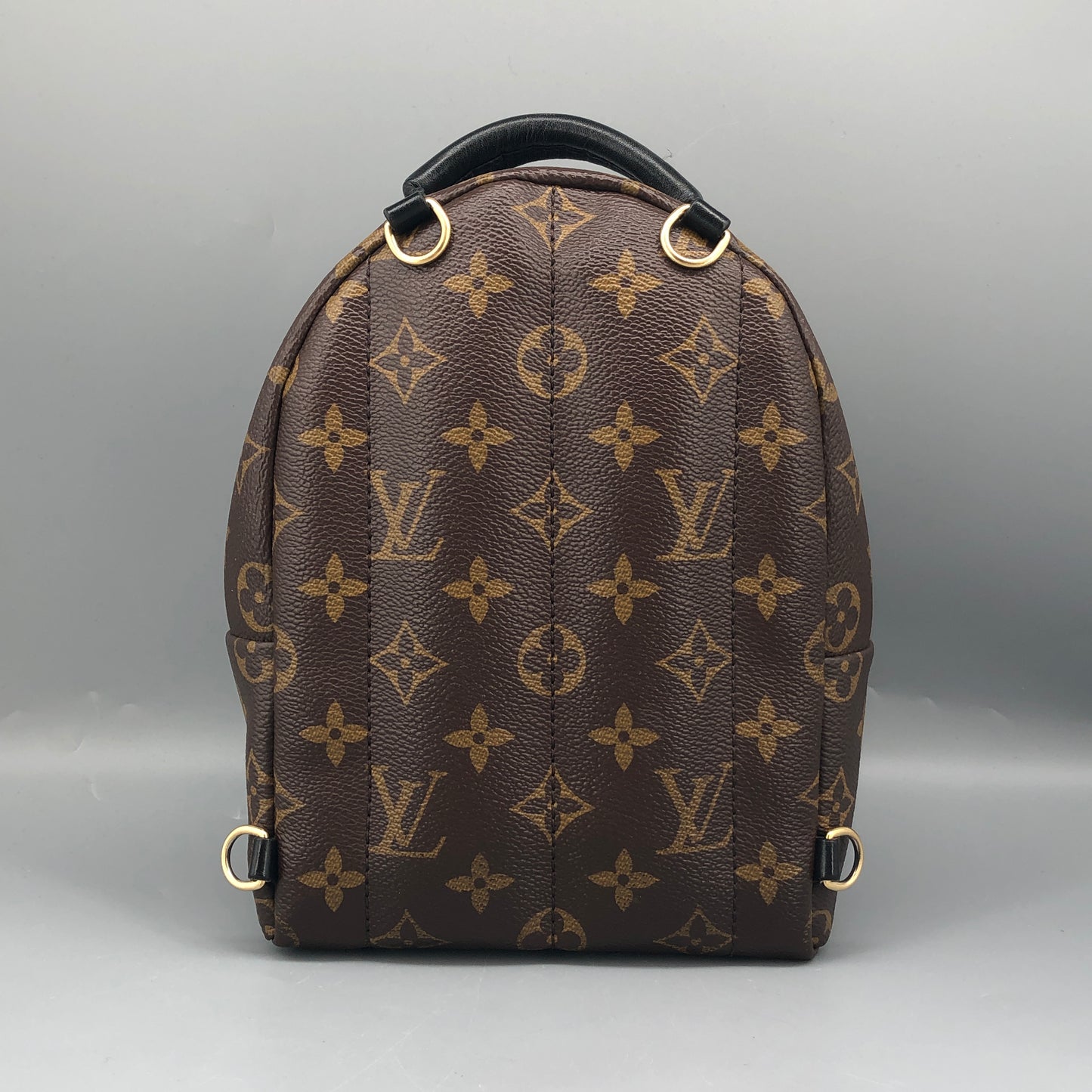 Louis Vuitton Palm Springs Mini Backpack Brown