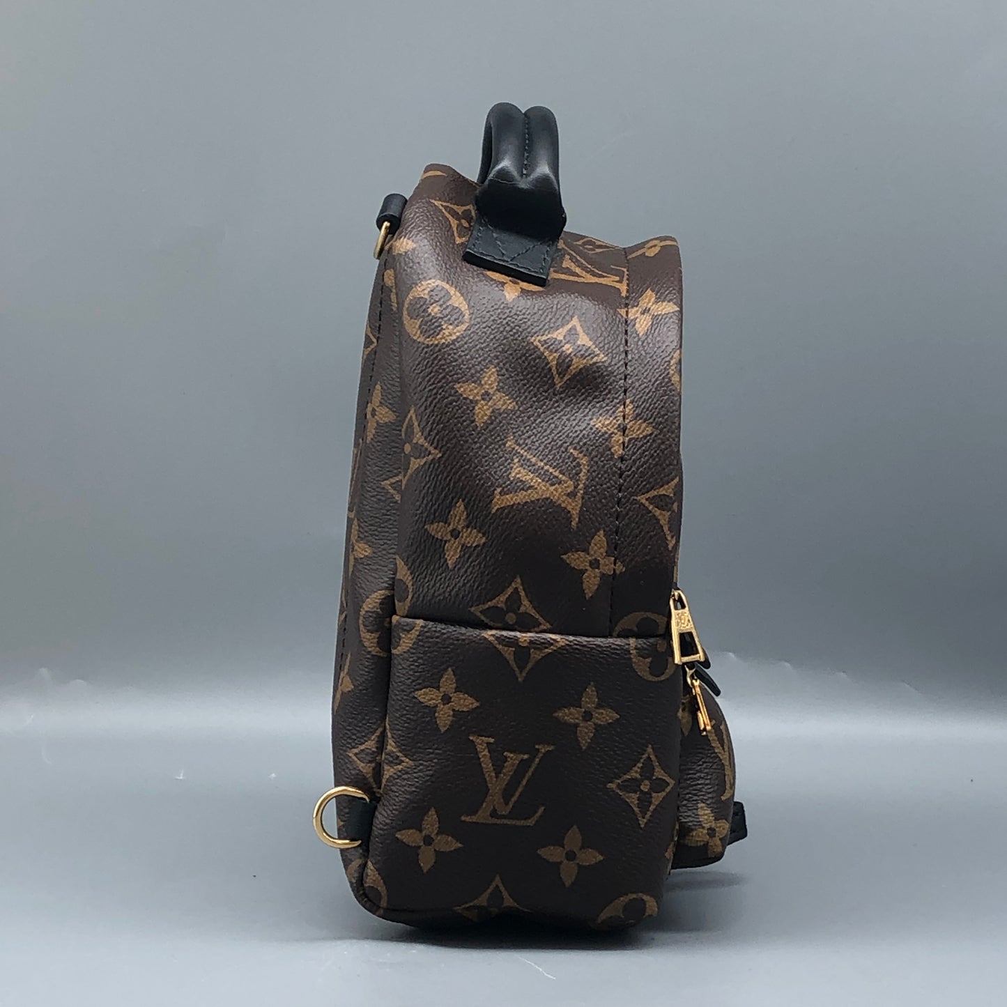Louis Vuitton Palm Springs Mini Backpack Bag