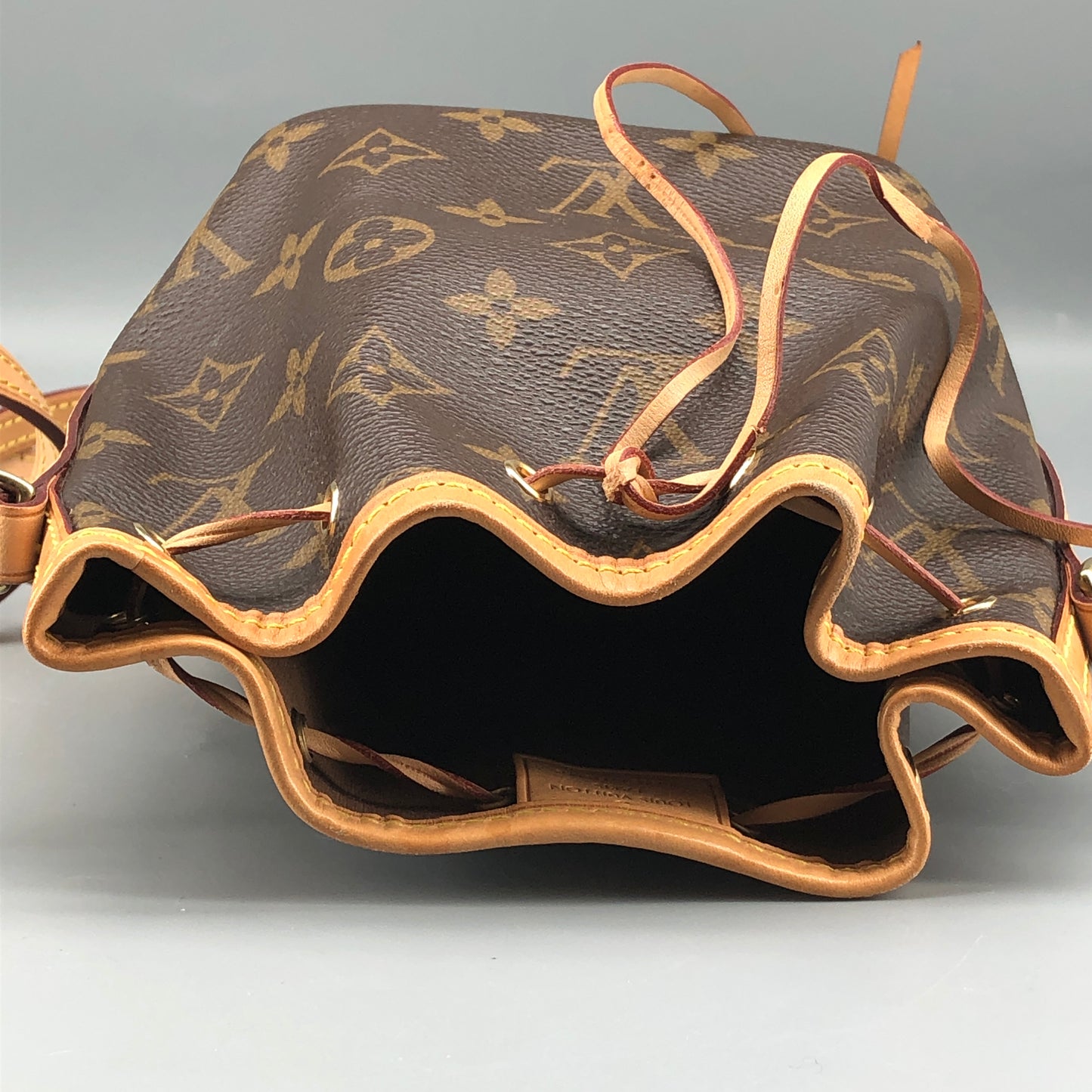 Louis Vuitton Classic Monogram Nano Noé Bucket Drawstring Crossbody Bag