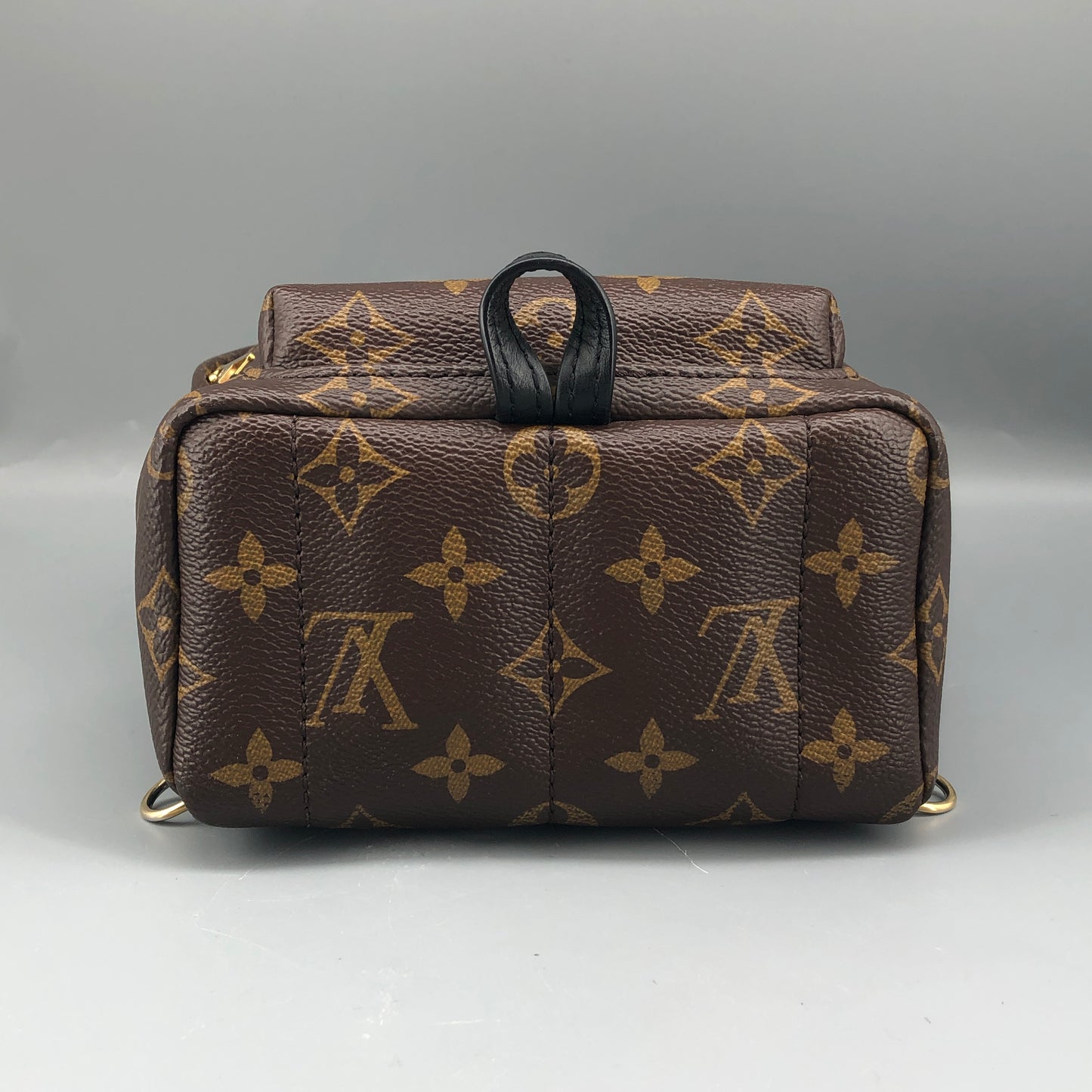 Louis Vuitton Palm Springs Mini Backpack Brown