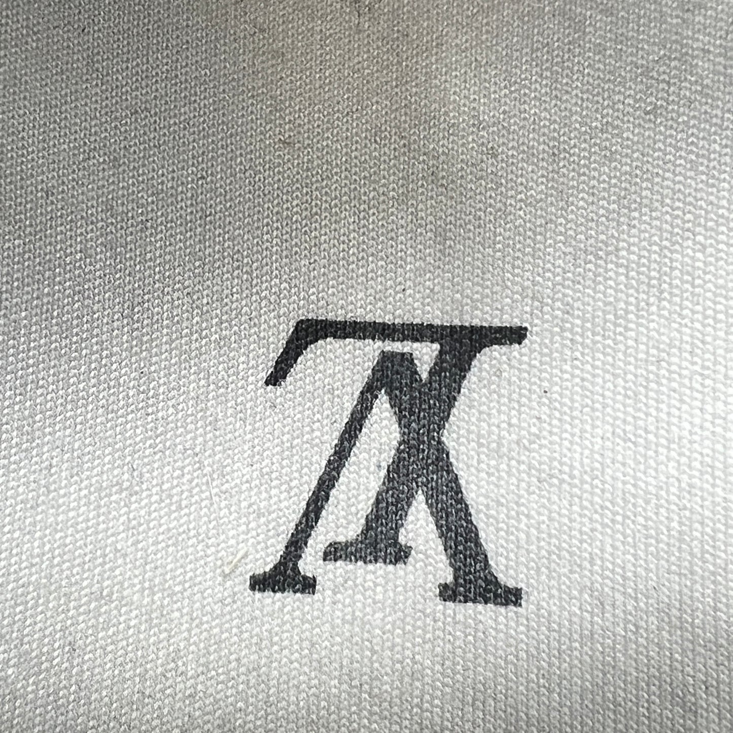 Louis Vuitton LV Trainer Sneaker