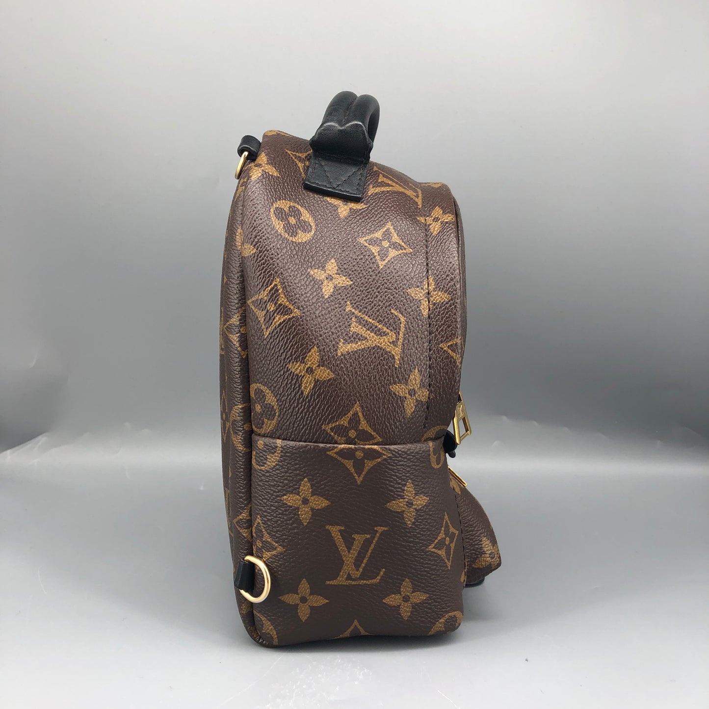 Louis Vuitton Palm Springs Mini Backpack Brown