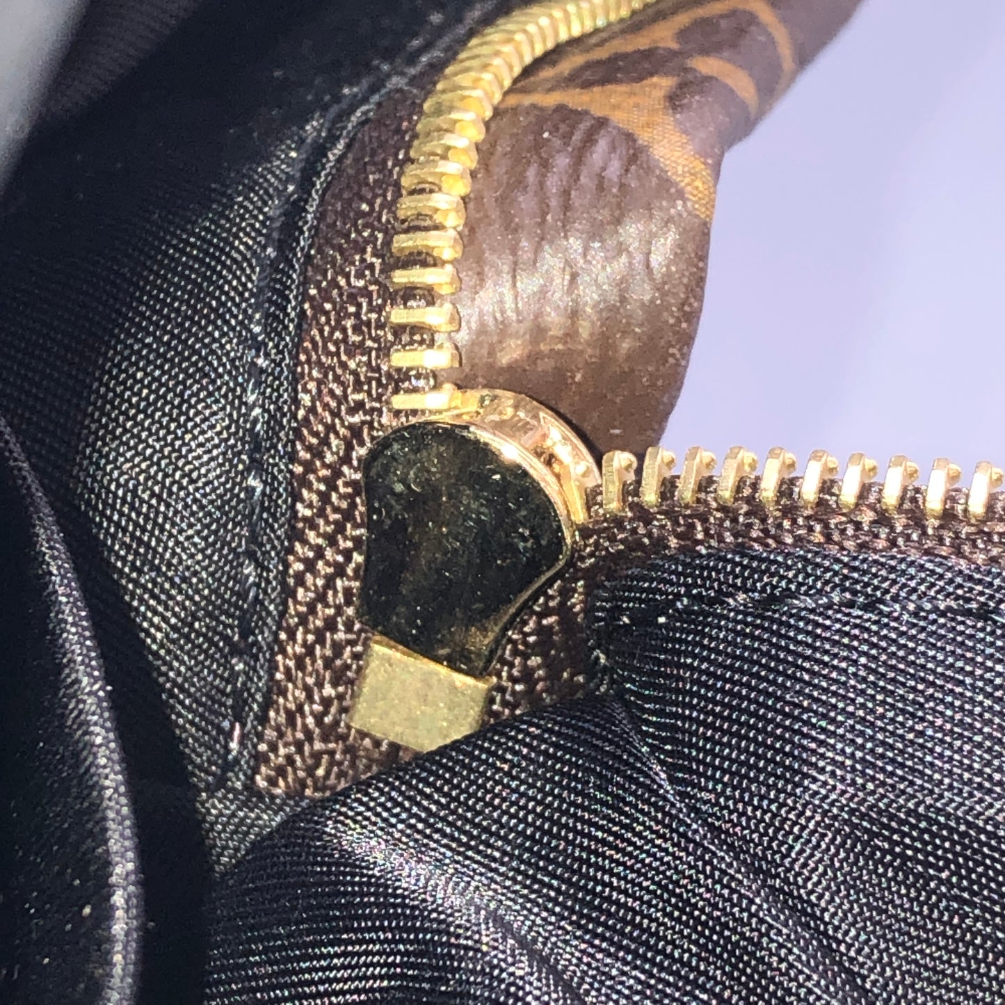 Louis Vuitton Palm Springs Mini Backpack Bag