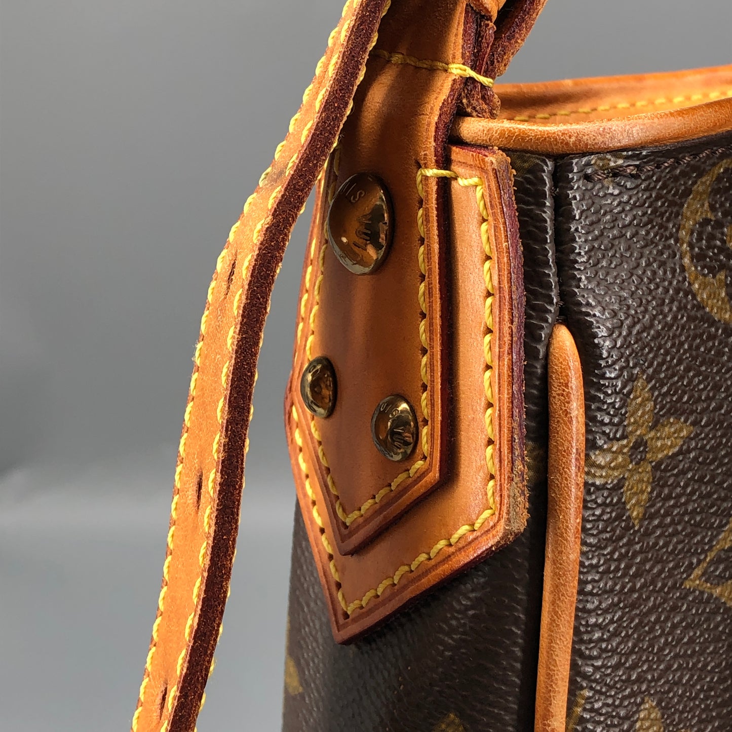 Louis Vuitton Monogram Hudson GM Bag Brown