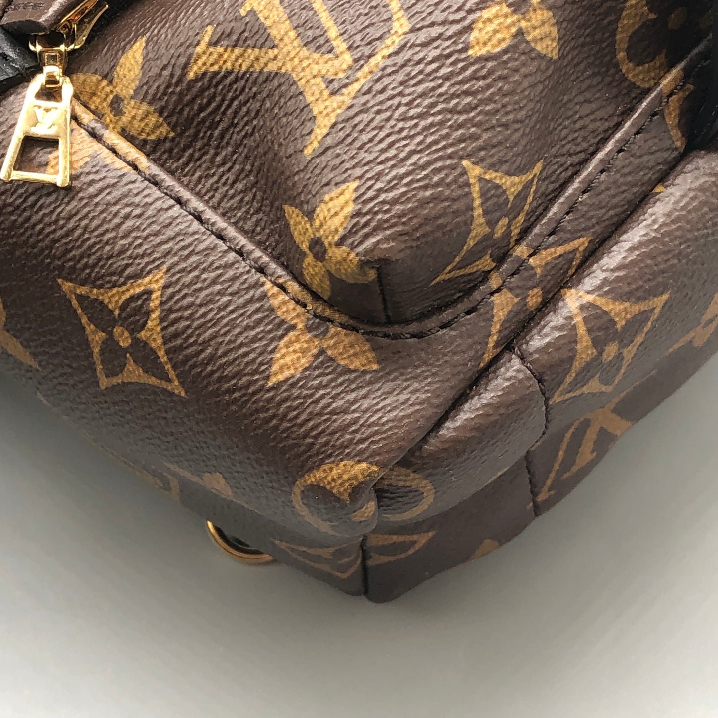 Louis Vuitton Palm Springs Mini Backpack Bag