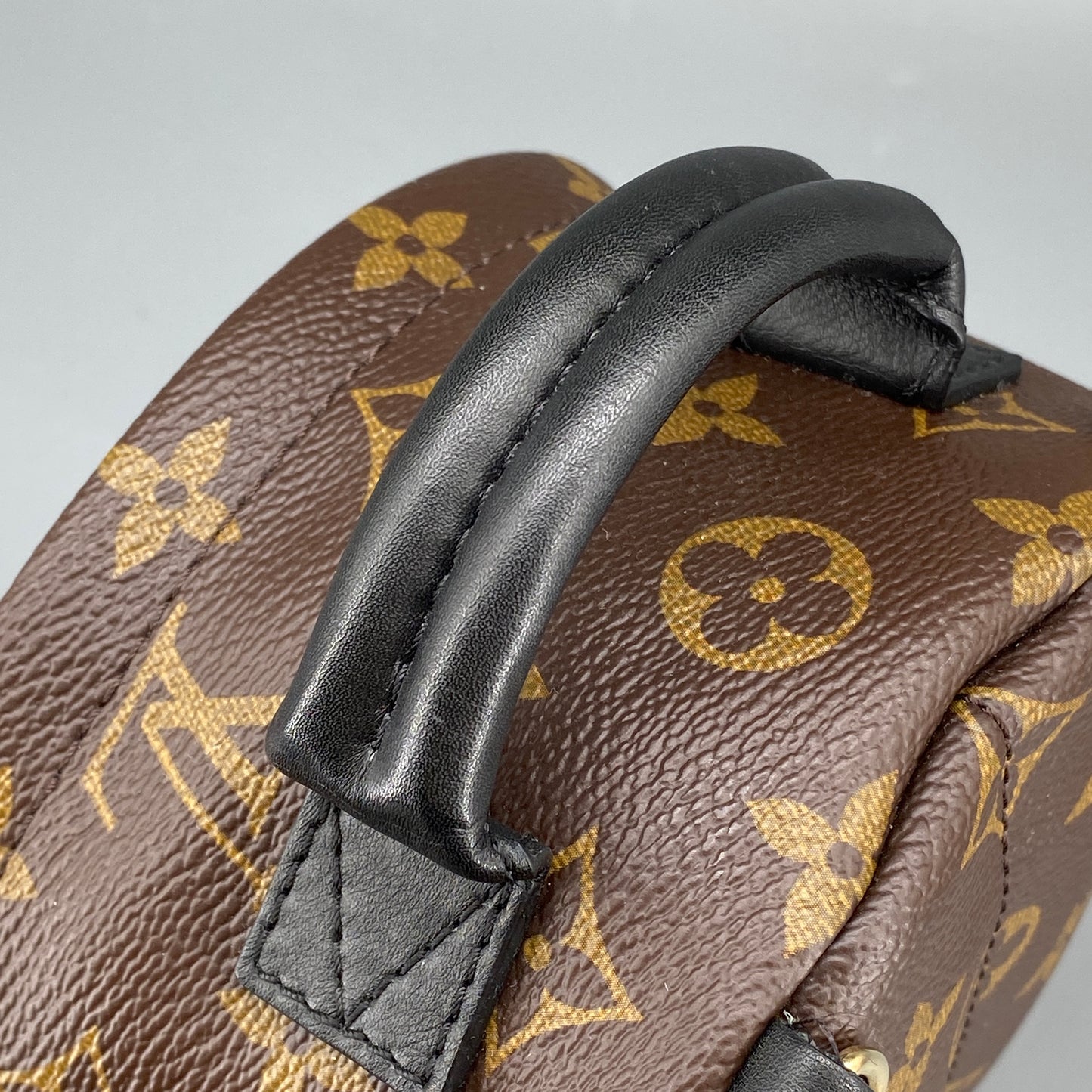 Louis Vuitton Palm Springs Mini Monogram Backpack Bag