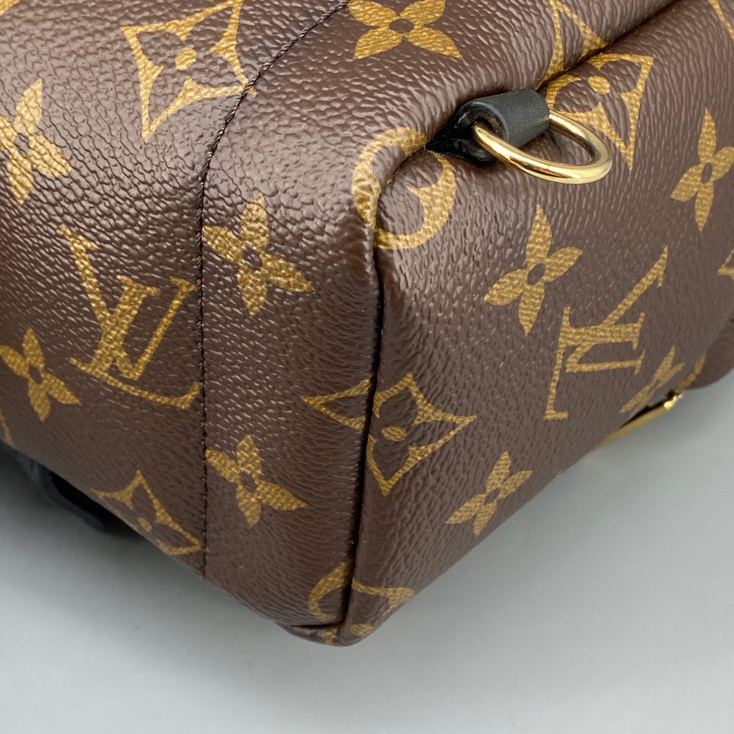 Louis Vuitton Palm Springs Mini Monogram Backpack Bag