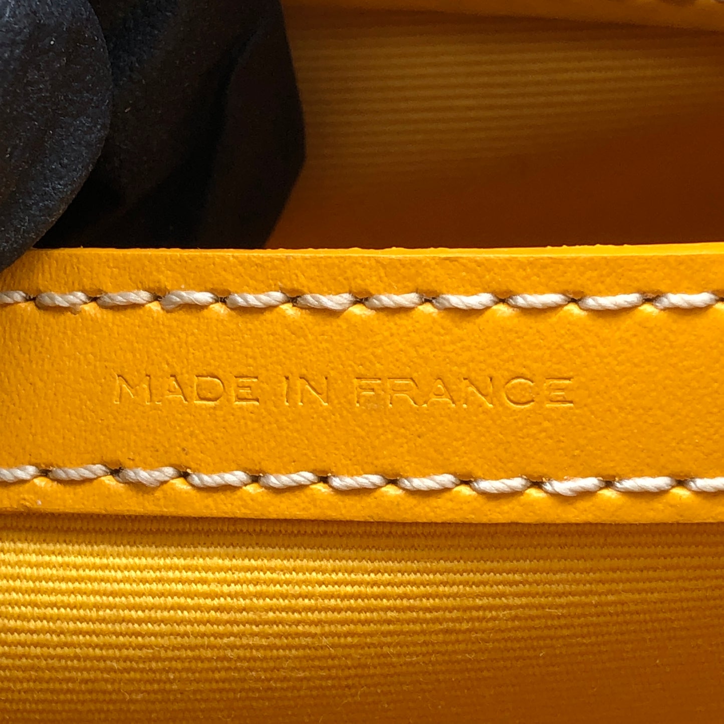 Goyard Cap-Vert Yellow Goyardine Canvas Crossbody Camera Bag