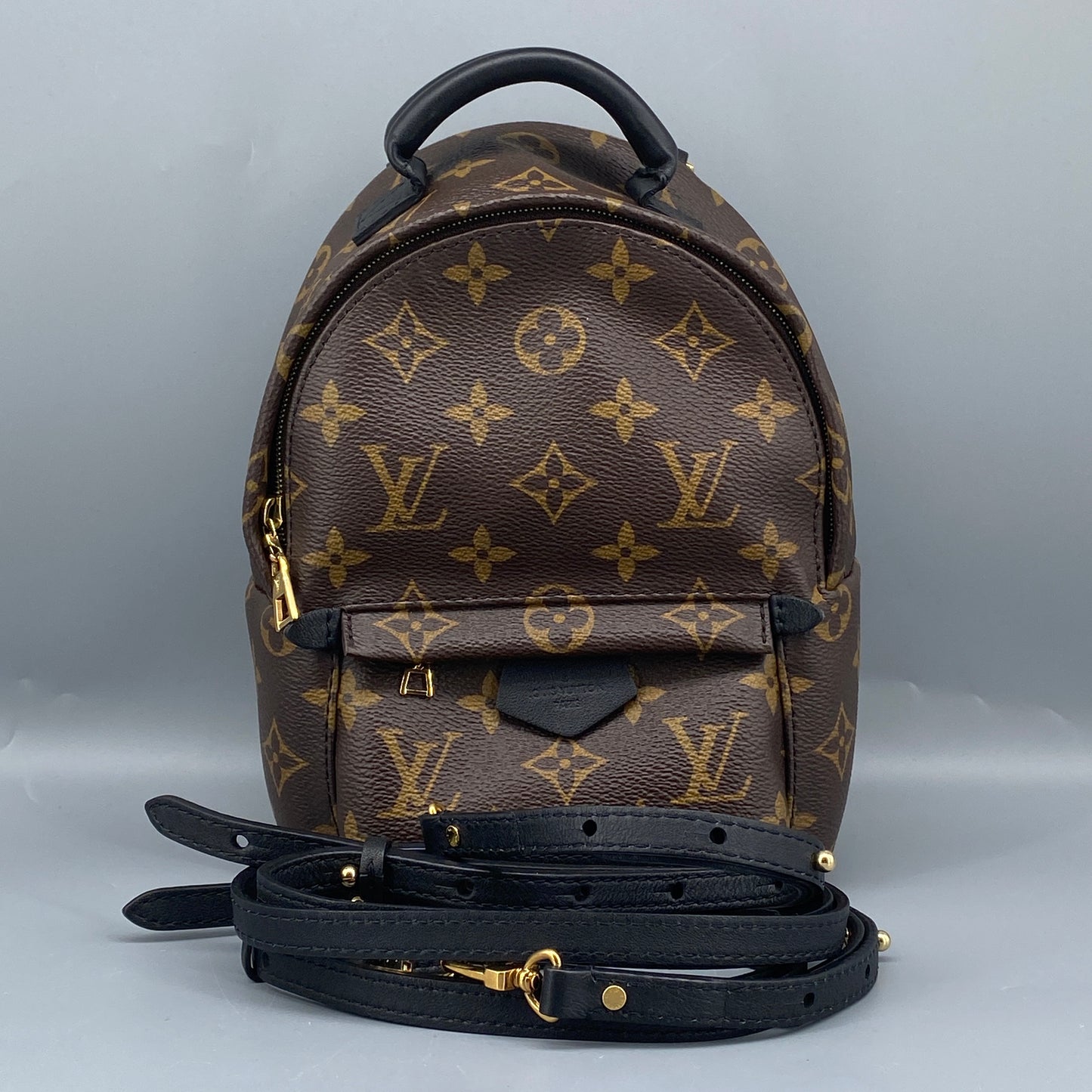 Louis Vuitton Mini Palm Springs Brown Monogram Canvas Backpack
