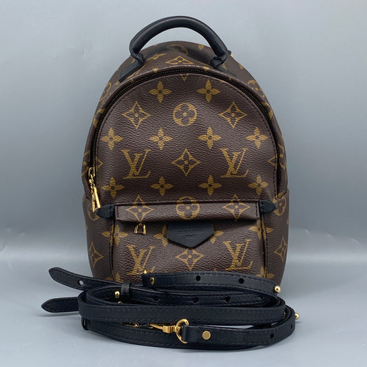 Louis Vuitton Mini Palm Springs Brown Monogram Canvas Backpack