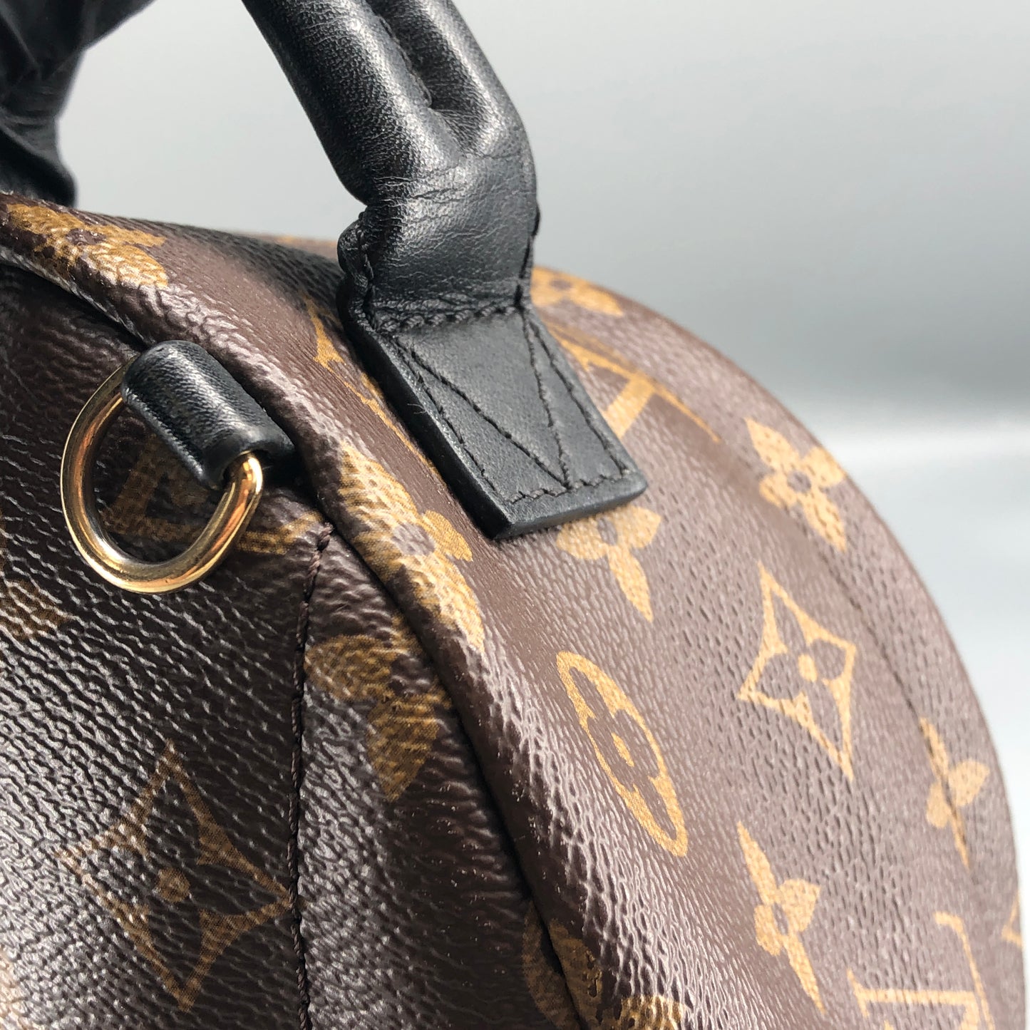 Louis Vuitton Palm Springs Mini Backpack Brown
