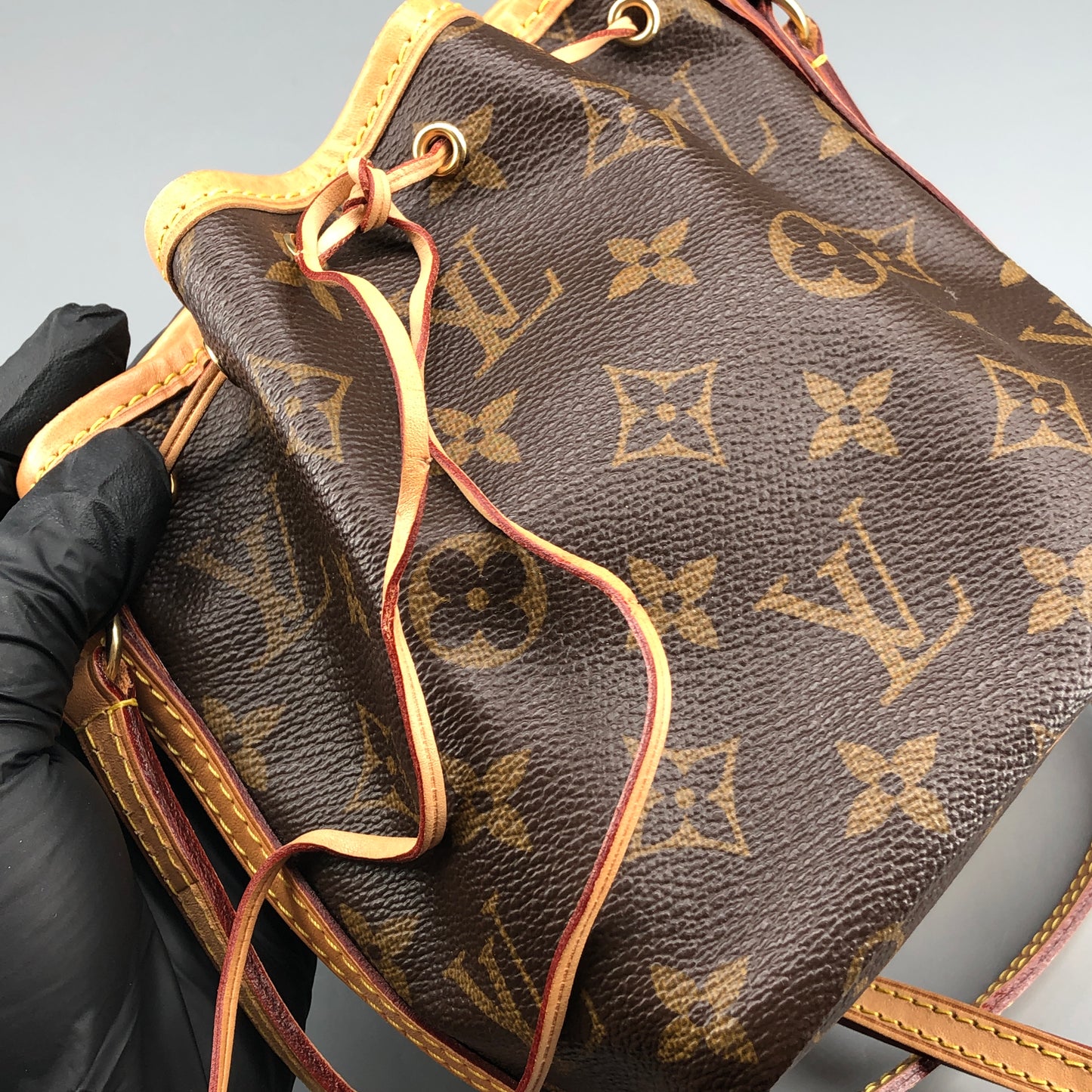 Louis Vuitton Classic Monogram Nano Noé Bucket Drawstring Crossbody Bag
