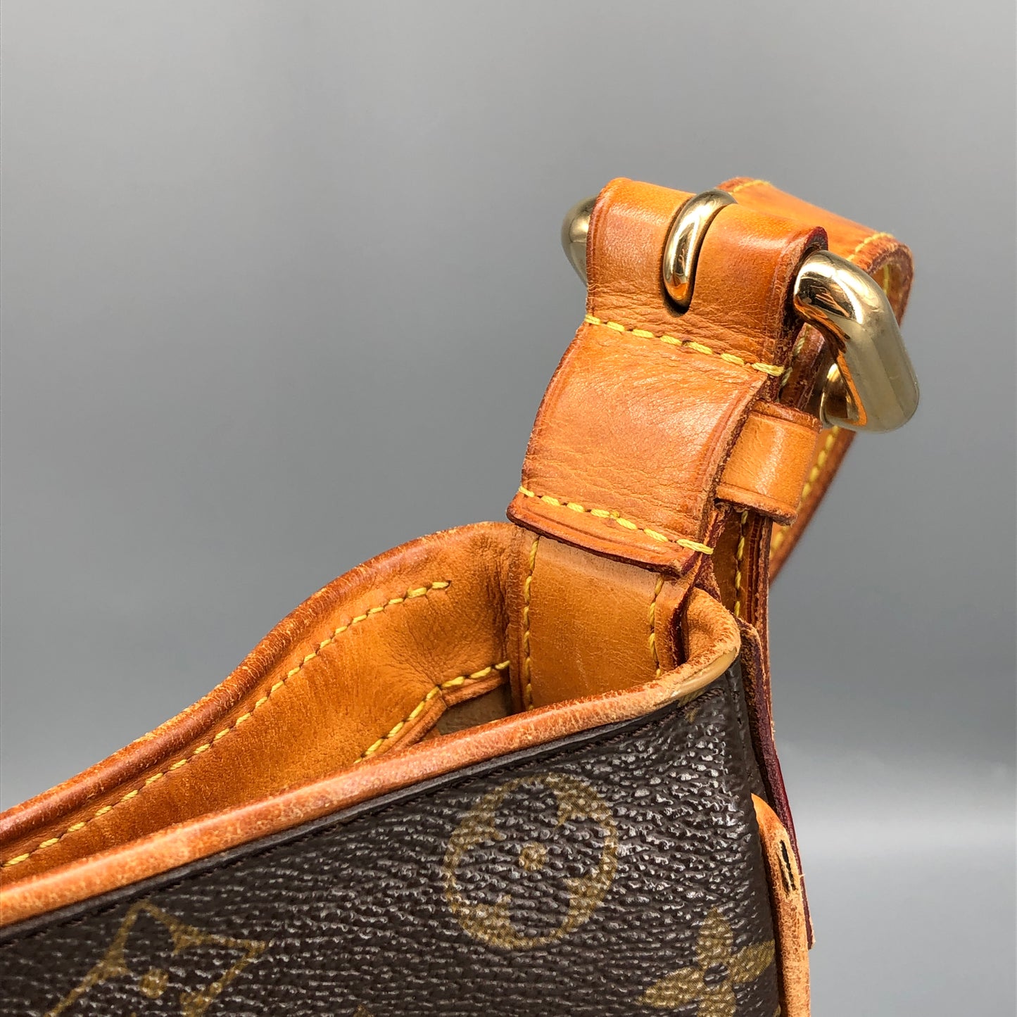Louis Vuitton Monogram Hudson GM Bag Brown