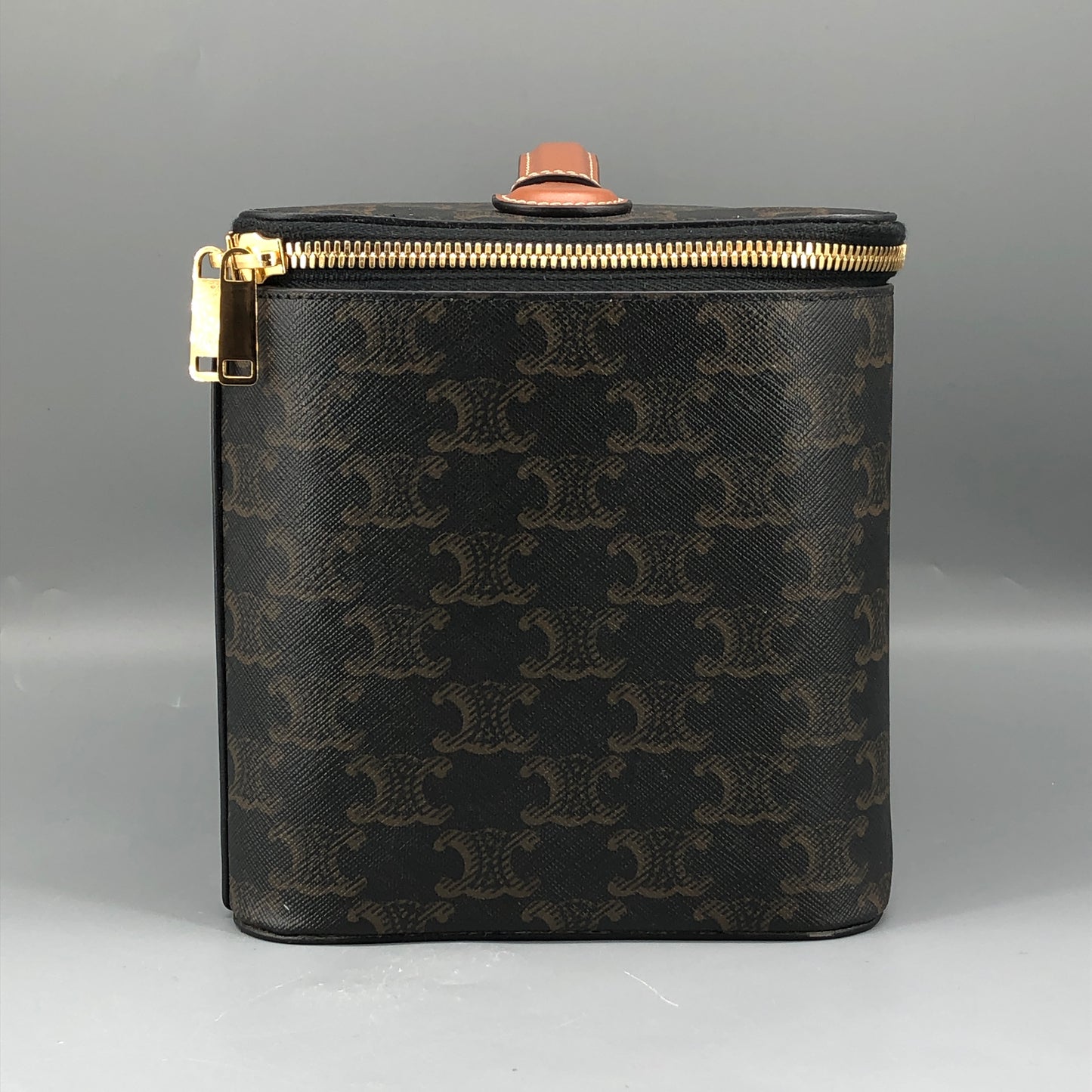 Celine Triomphe Canvas Vanity Case Bag Dark Brown