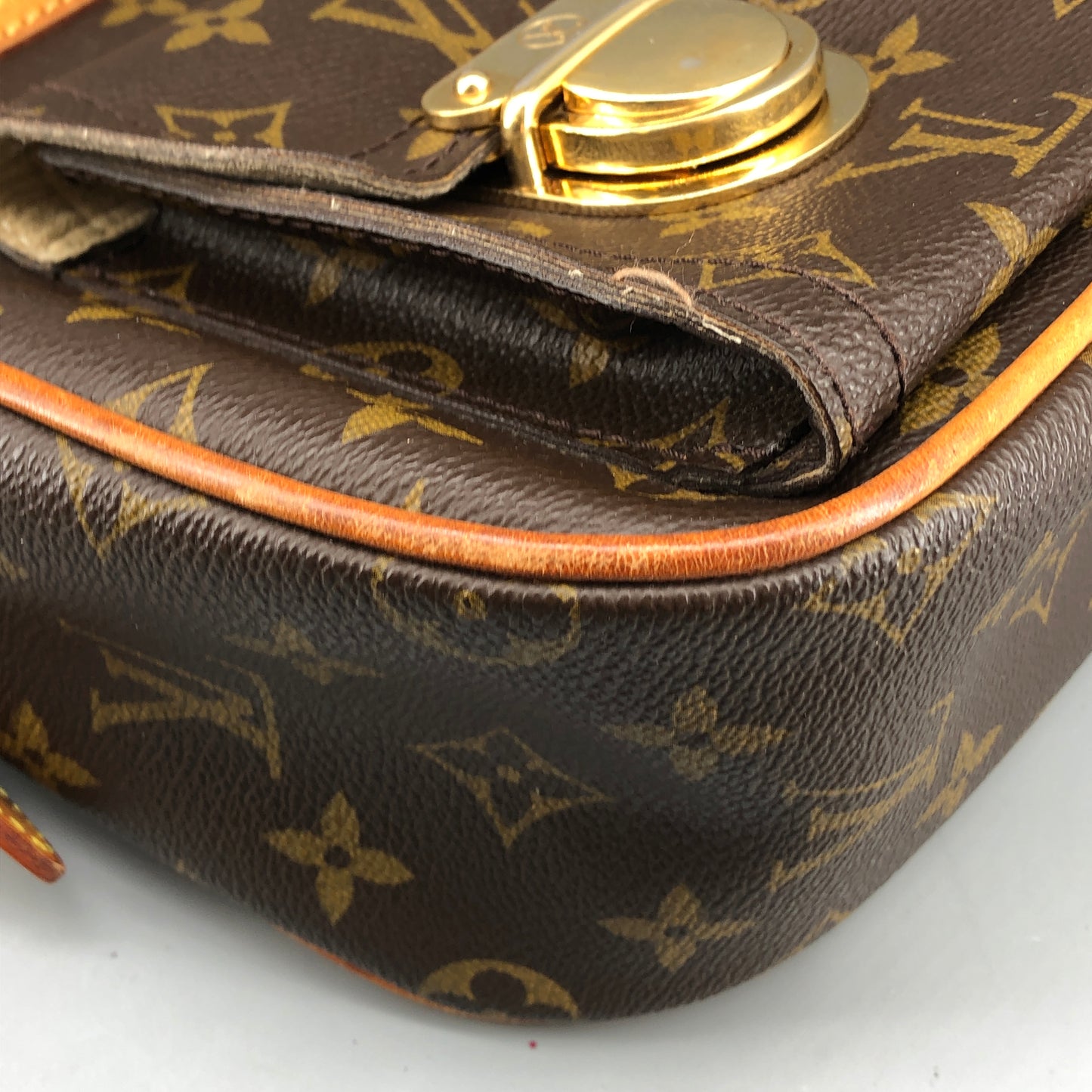 Louis Vuitton Monogram Hudson GM Bag Brown