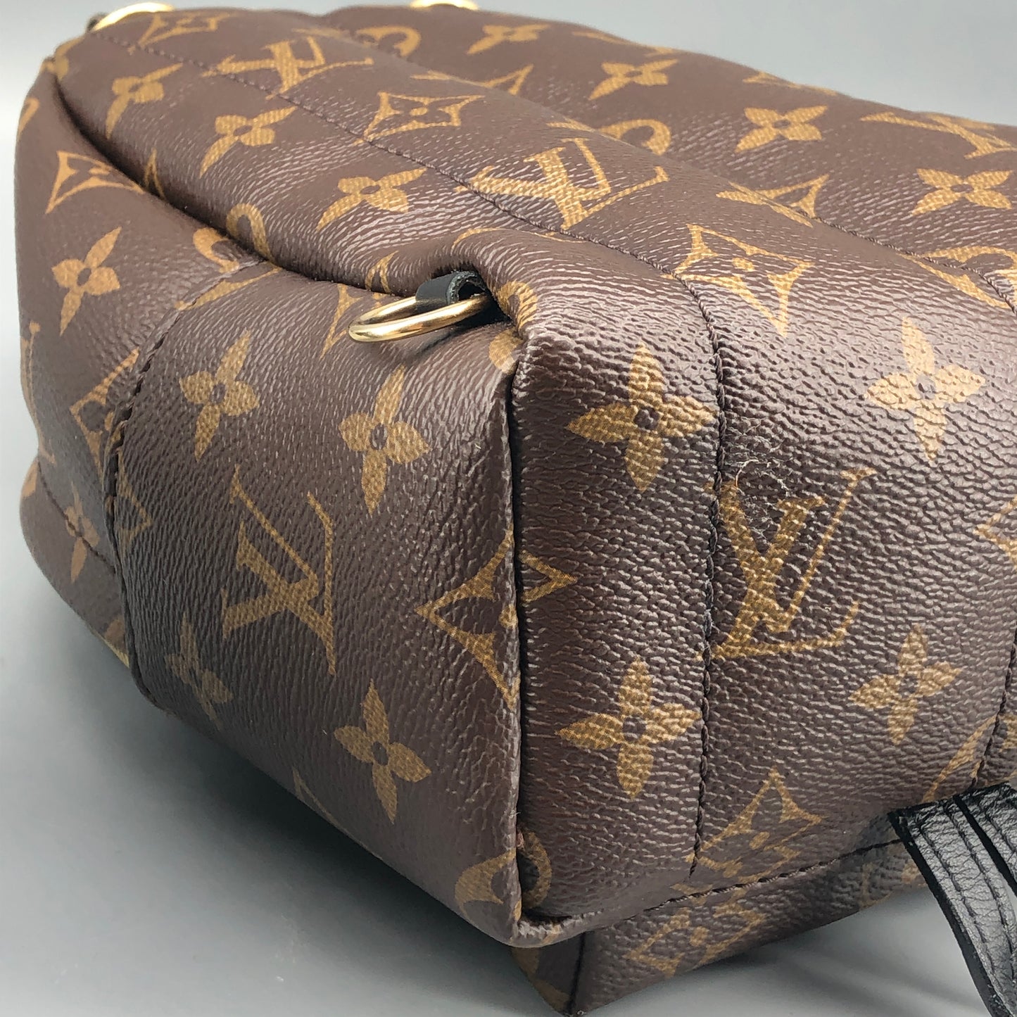 Louis Vuitton Mini Monogram Palm Spring Canvas Backpack Brown
