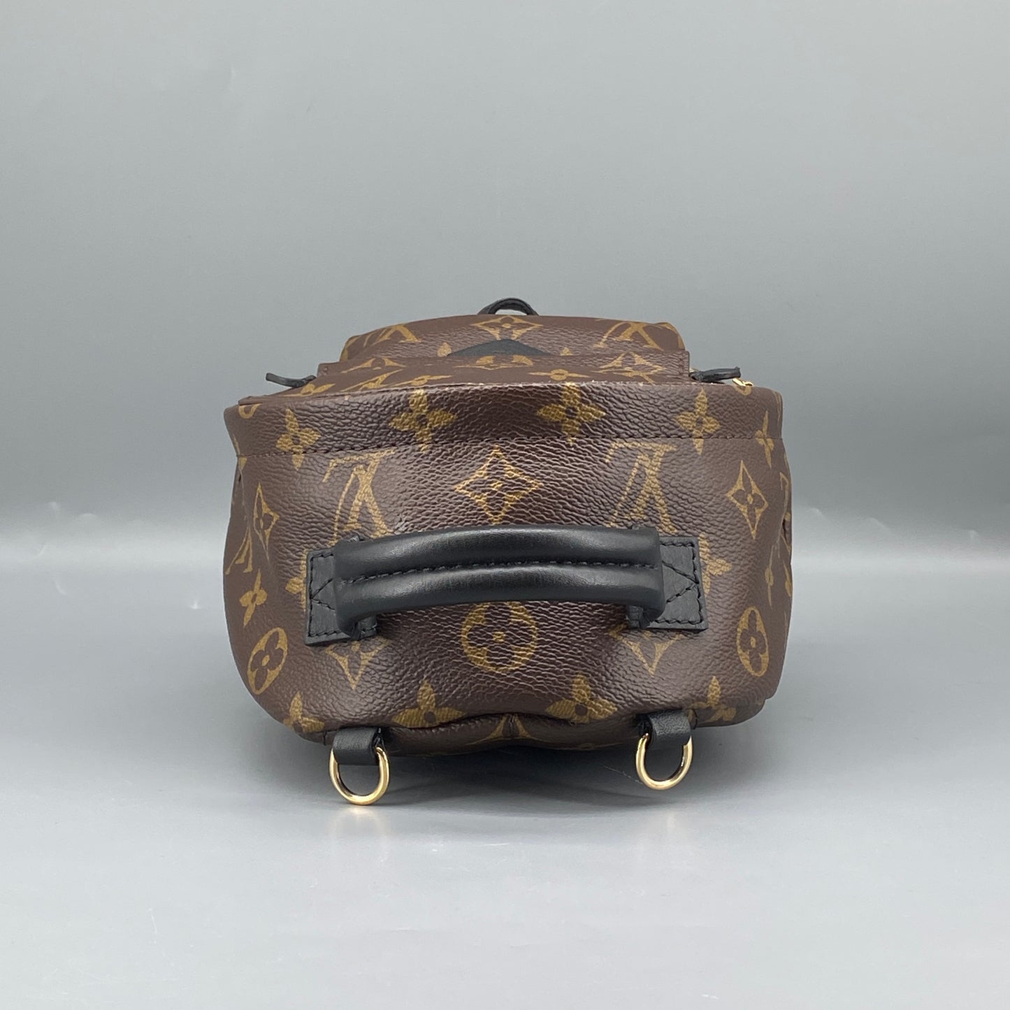 Louis Vuitton Palm Springs Mini Monogram Backpack Bag