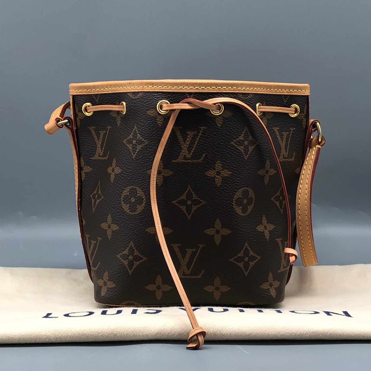 Louis Vuitton Brown Monogram Canvas Nano Noé Bag