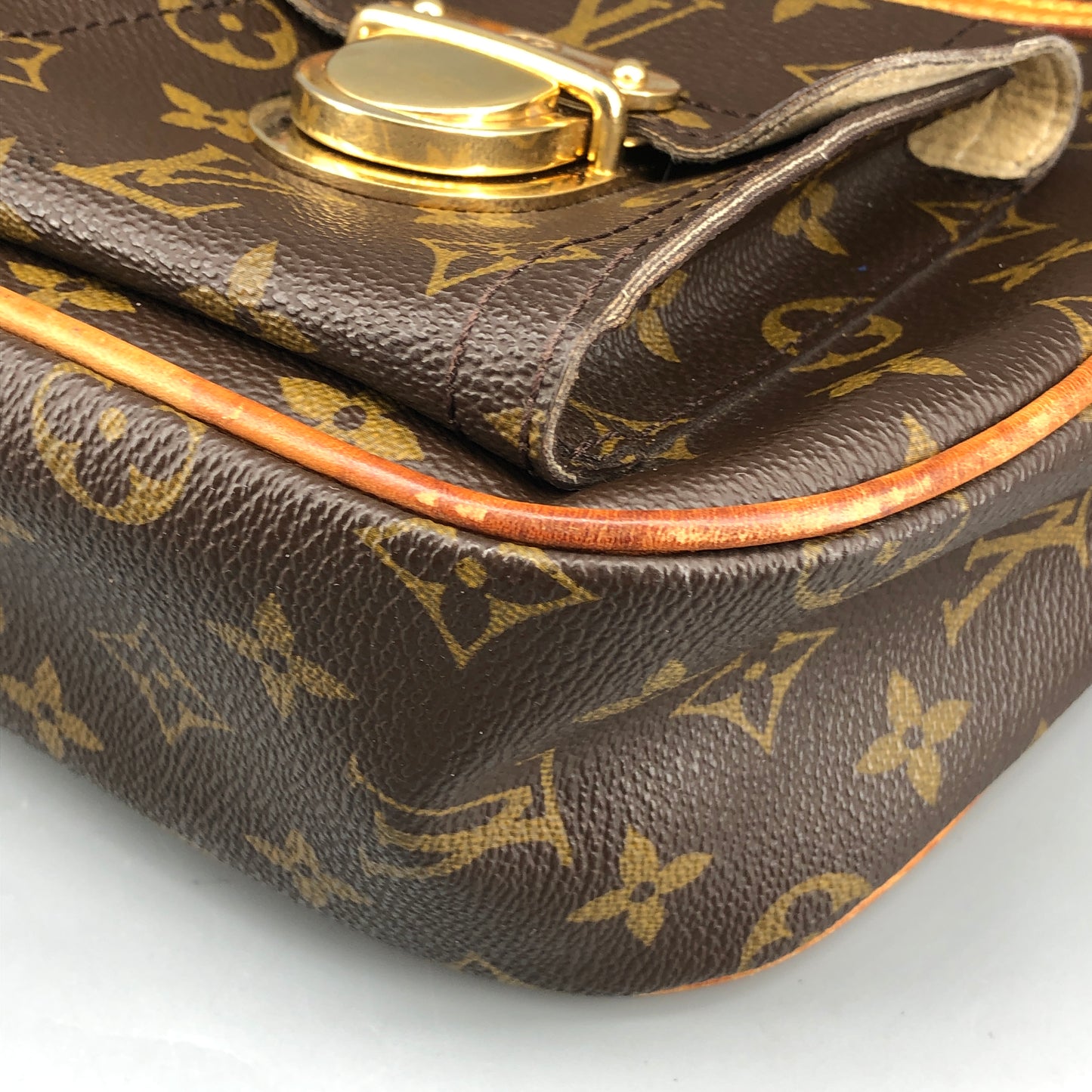 Louis Vuitton Monogram Hudson GM Bag Brown