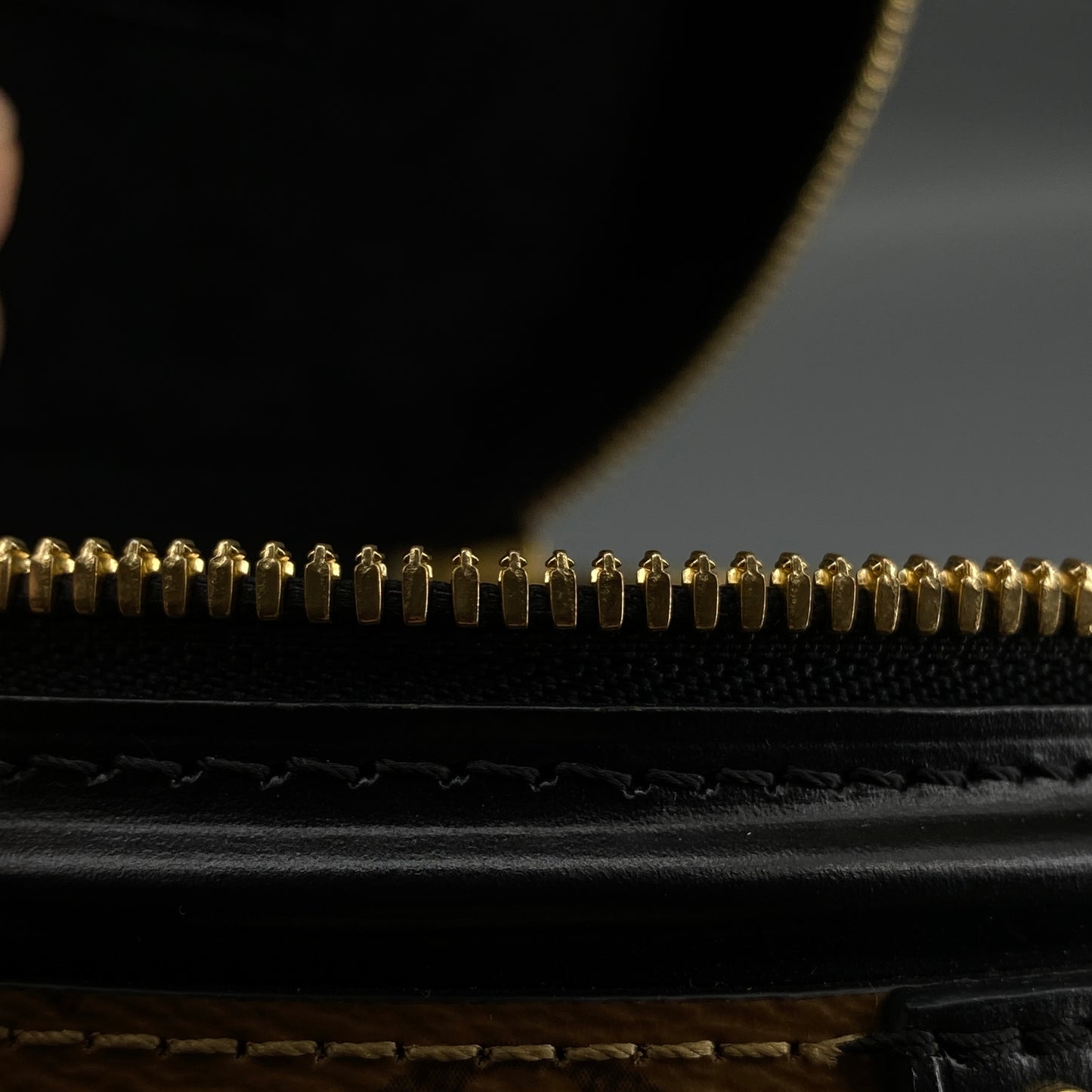 Louis Vuitton Brown Monogram Cannes Vanity Bucket Bag