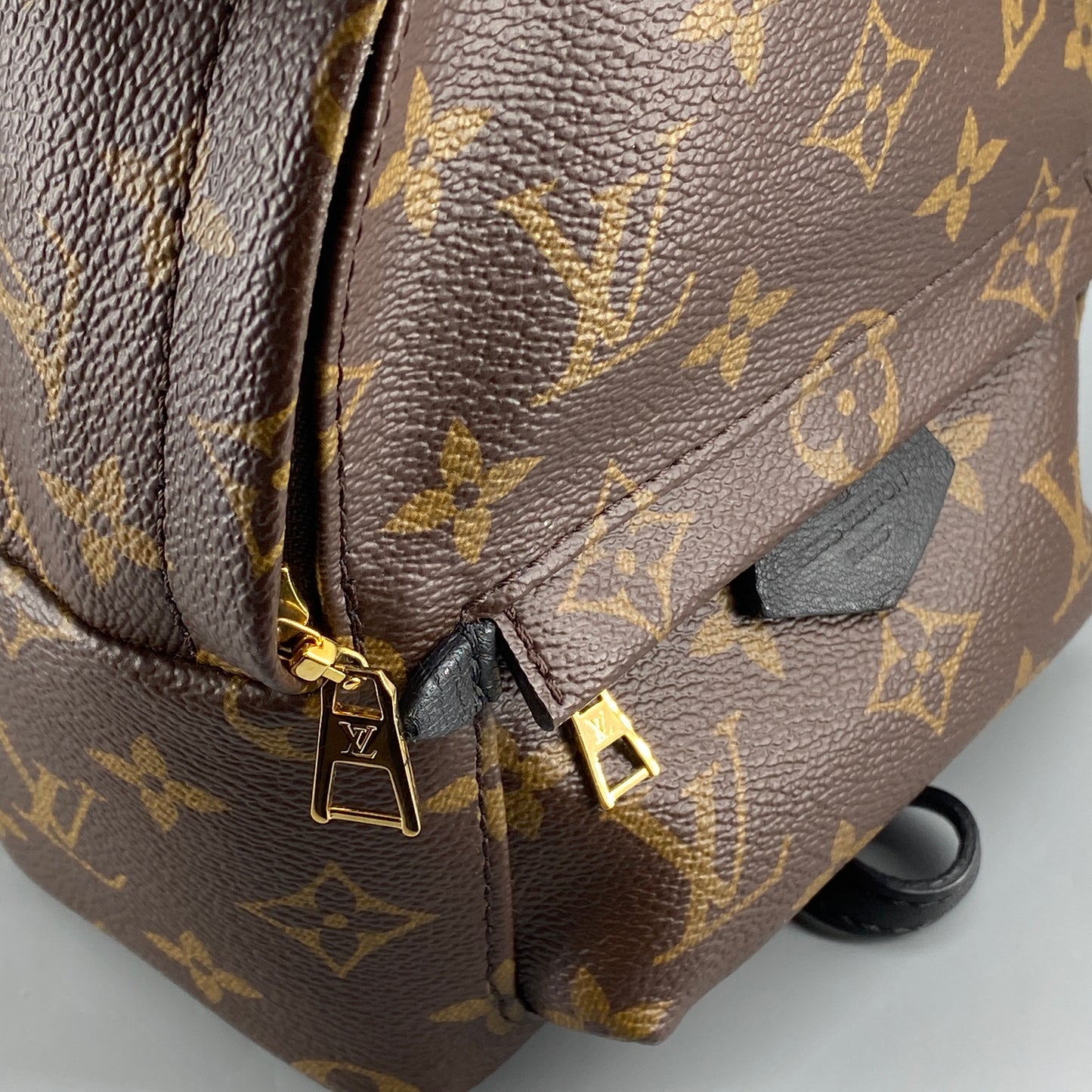 Louis Vuitton Palm Springs Mini Monogram Backpack Bag