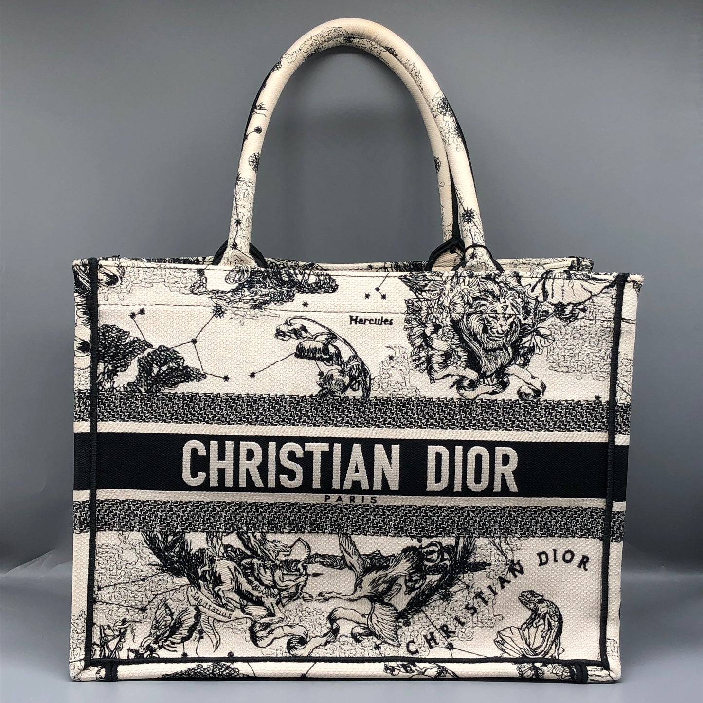 Christian Dior Book Tote Around The World Print Tote Bag White/Black