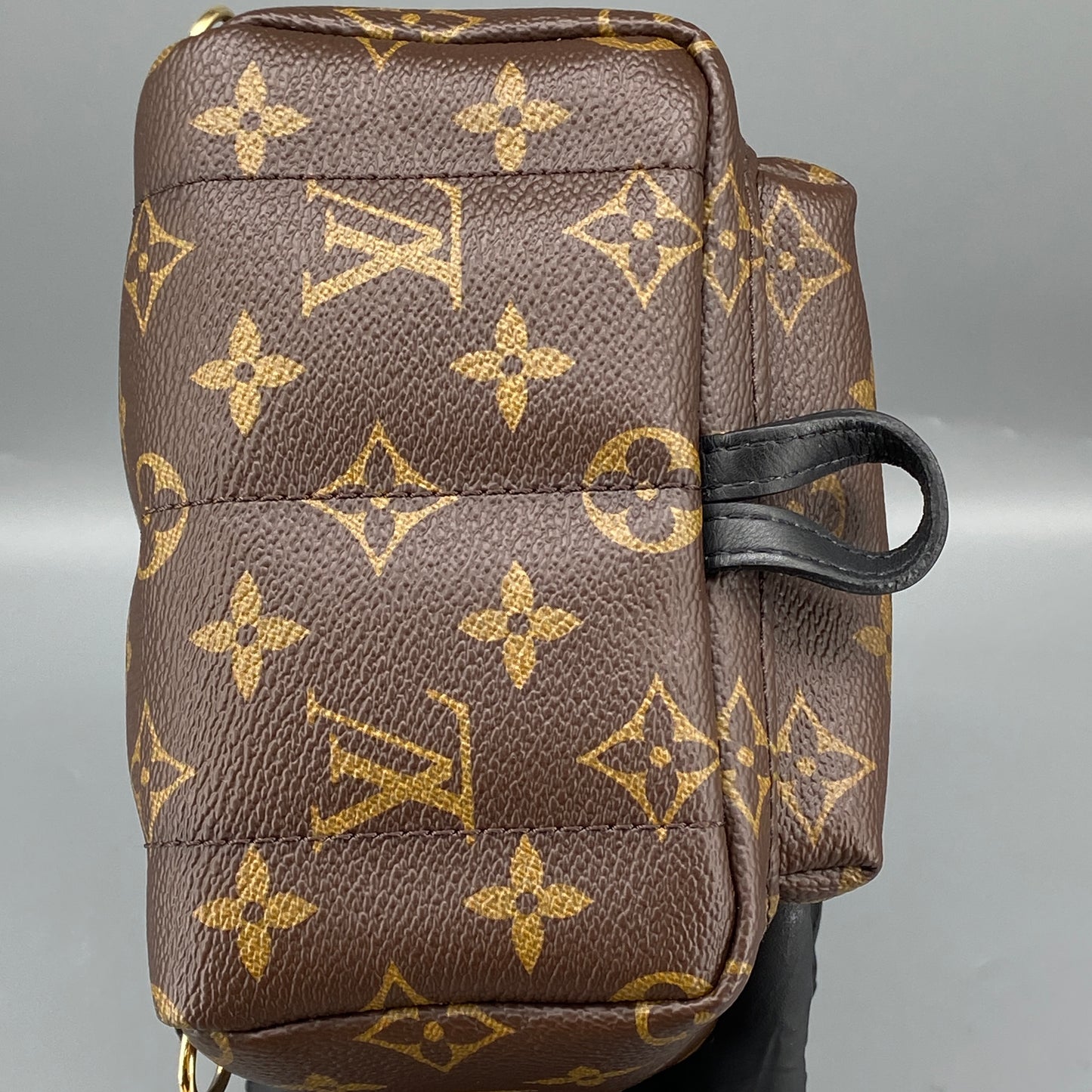 Louis Vuitton Palm Springs Mini Monogram Backpack Bag