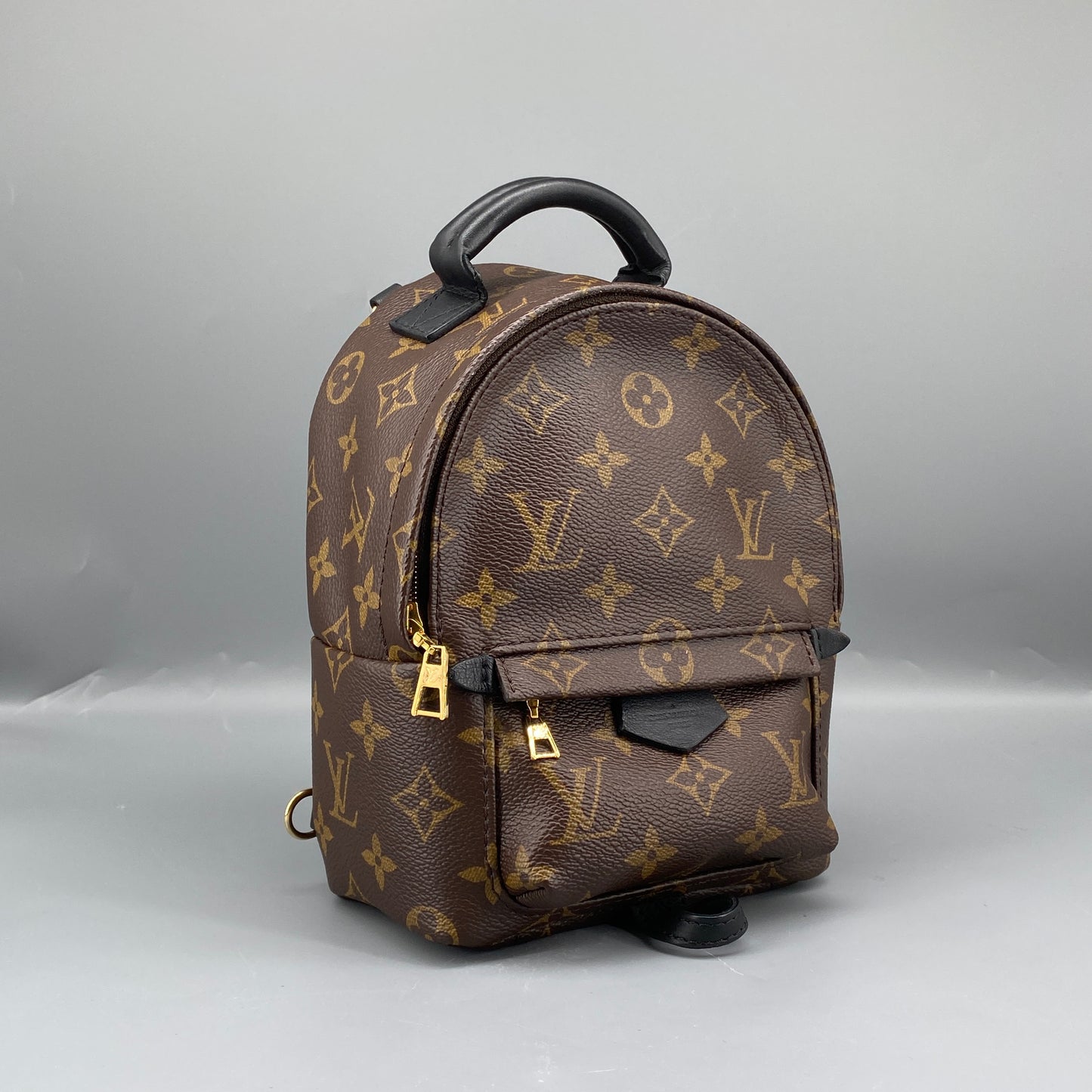 Louis Vuitton Palm Springs Mini Monogram Backpack Bag