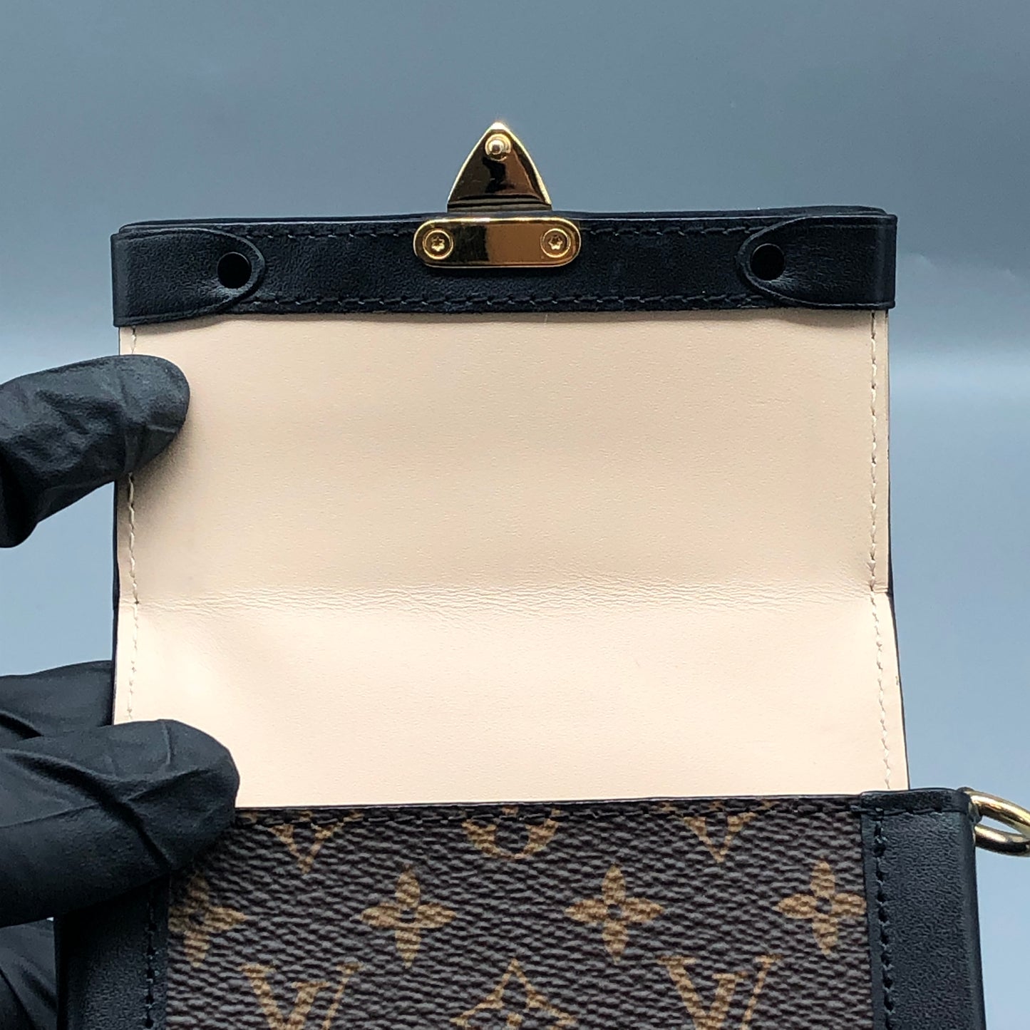 Louis Vuitton Monogram Canvas Petite Malle Phone Case Brown Bag