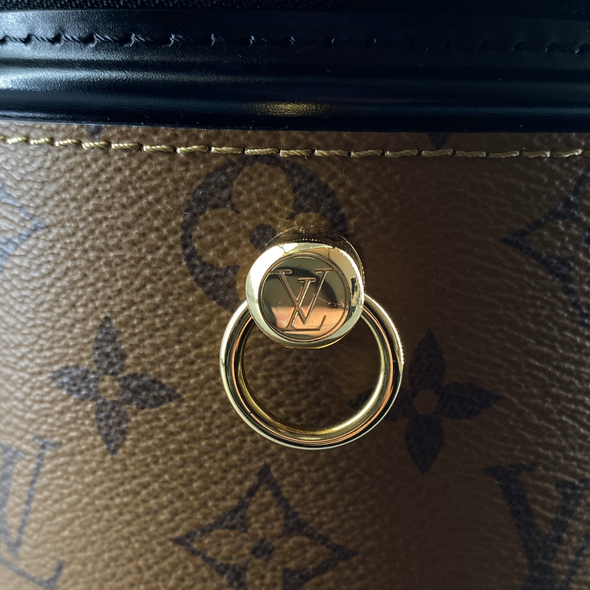Louis Vuitton Reverse Monogram Cannes Bucket Bag