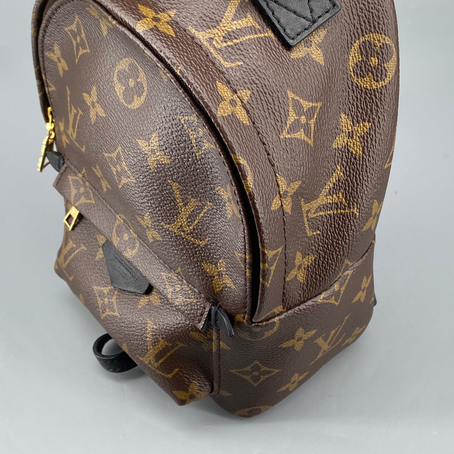 Louis Vuitton Palm Springs Mini Monogram Backpack Bag