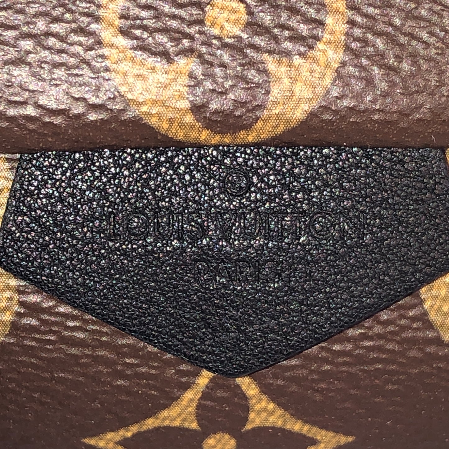 Louis Vuitton Palm Springs Mini Backpack Bag