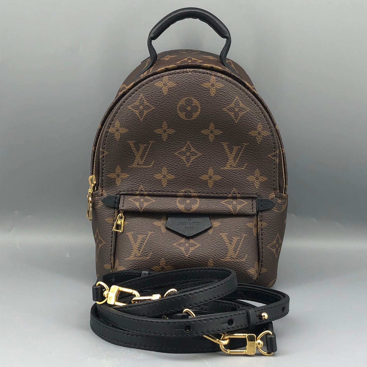 Louis Vuitton Mini Monogram Palm Spring Canvas Backpack Brown
