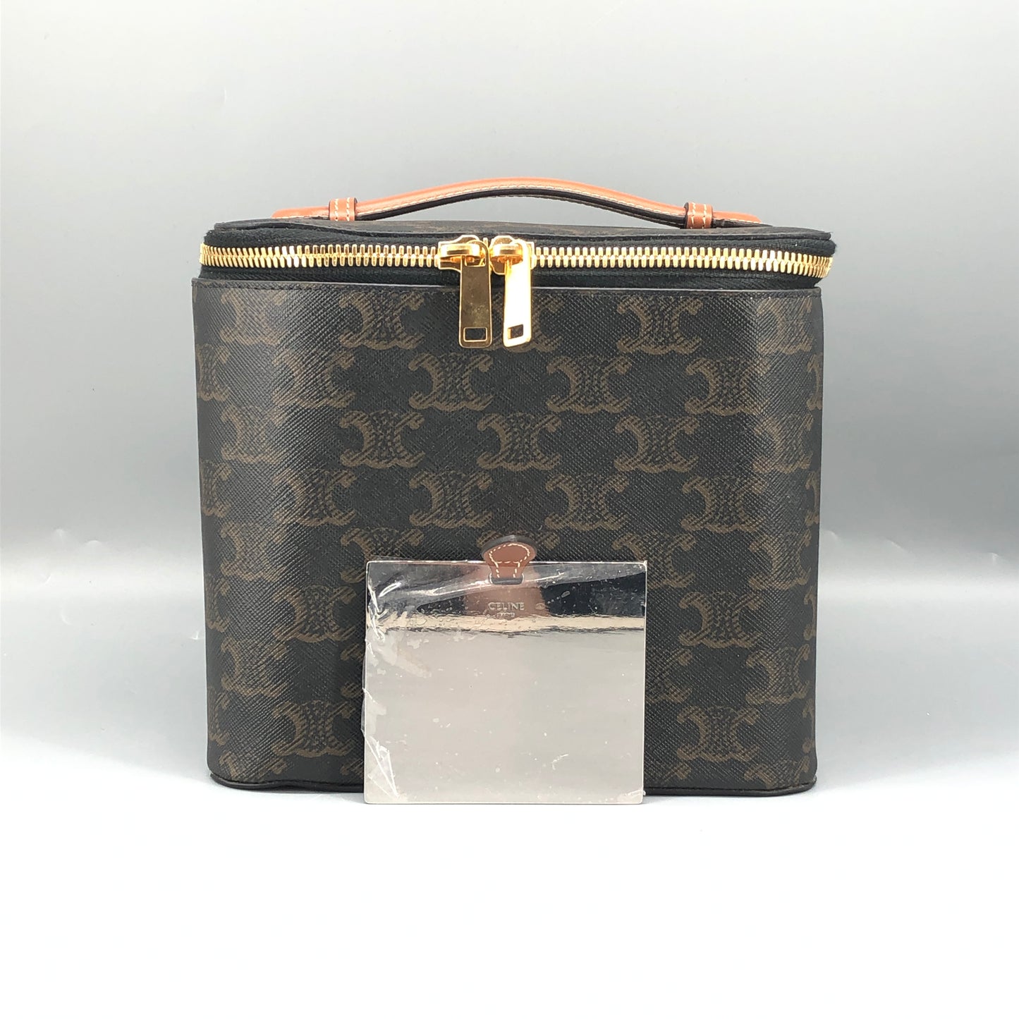 Celine Triomphe Canvas Vanity Case Bag Dark Brown
