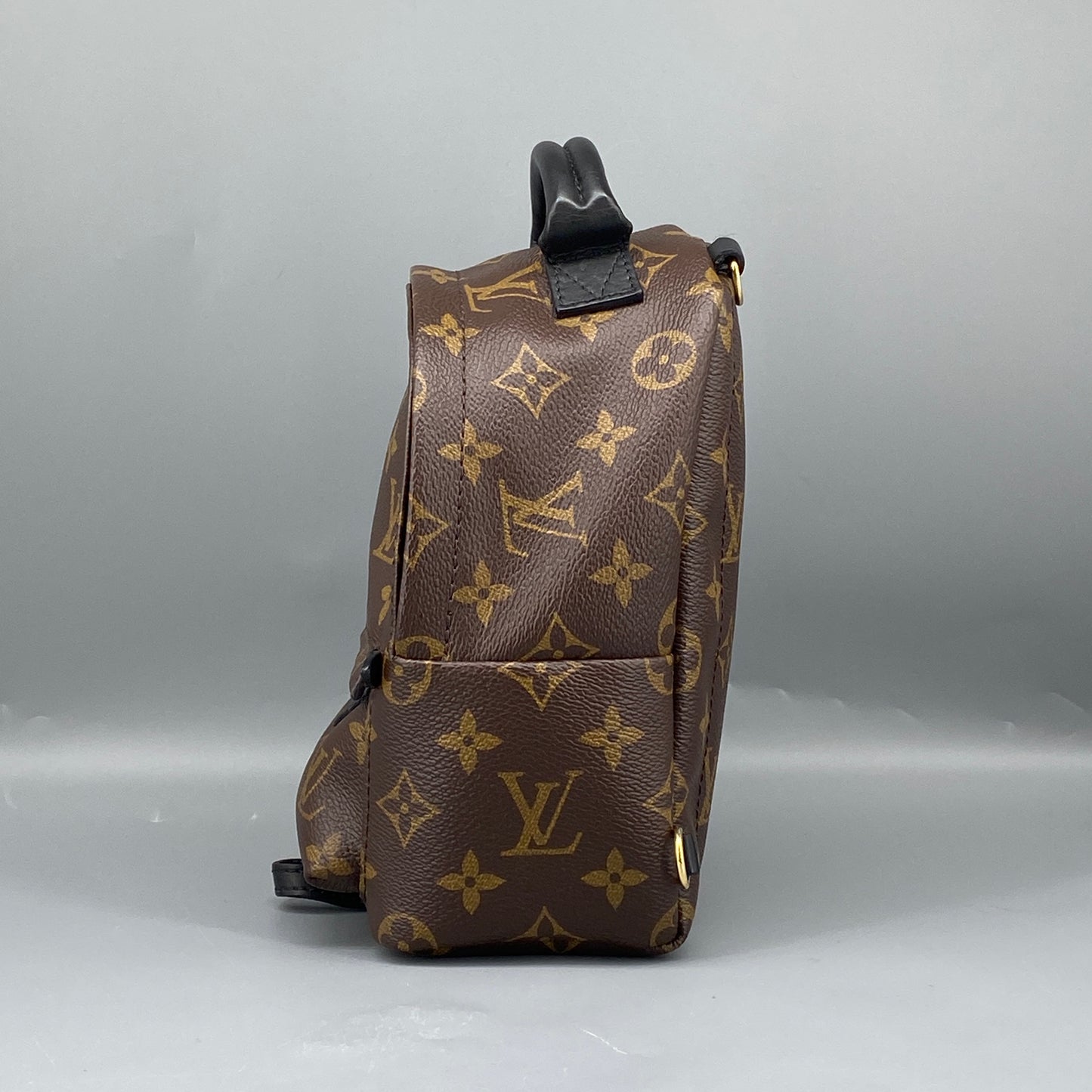 Louis Vuitton Palm Springs Mini Monogram Backpack Bag