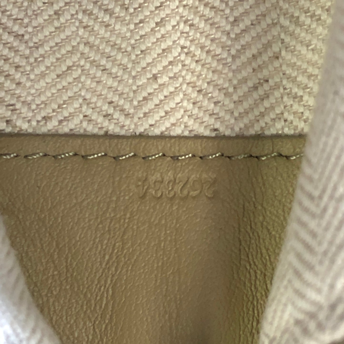 LOEWE Cubi Olive Beige Crossbody Bag