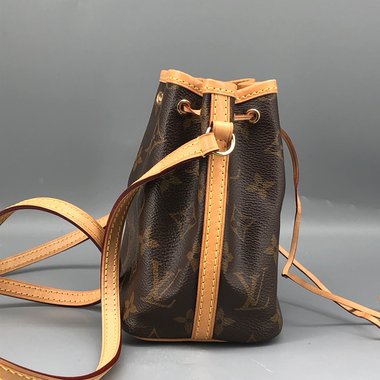 Louis Vuitton Classic Monogram Nano Noé Bucket Drawstring Crossbody Bag