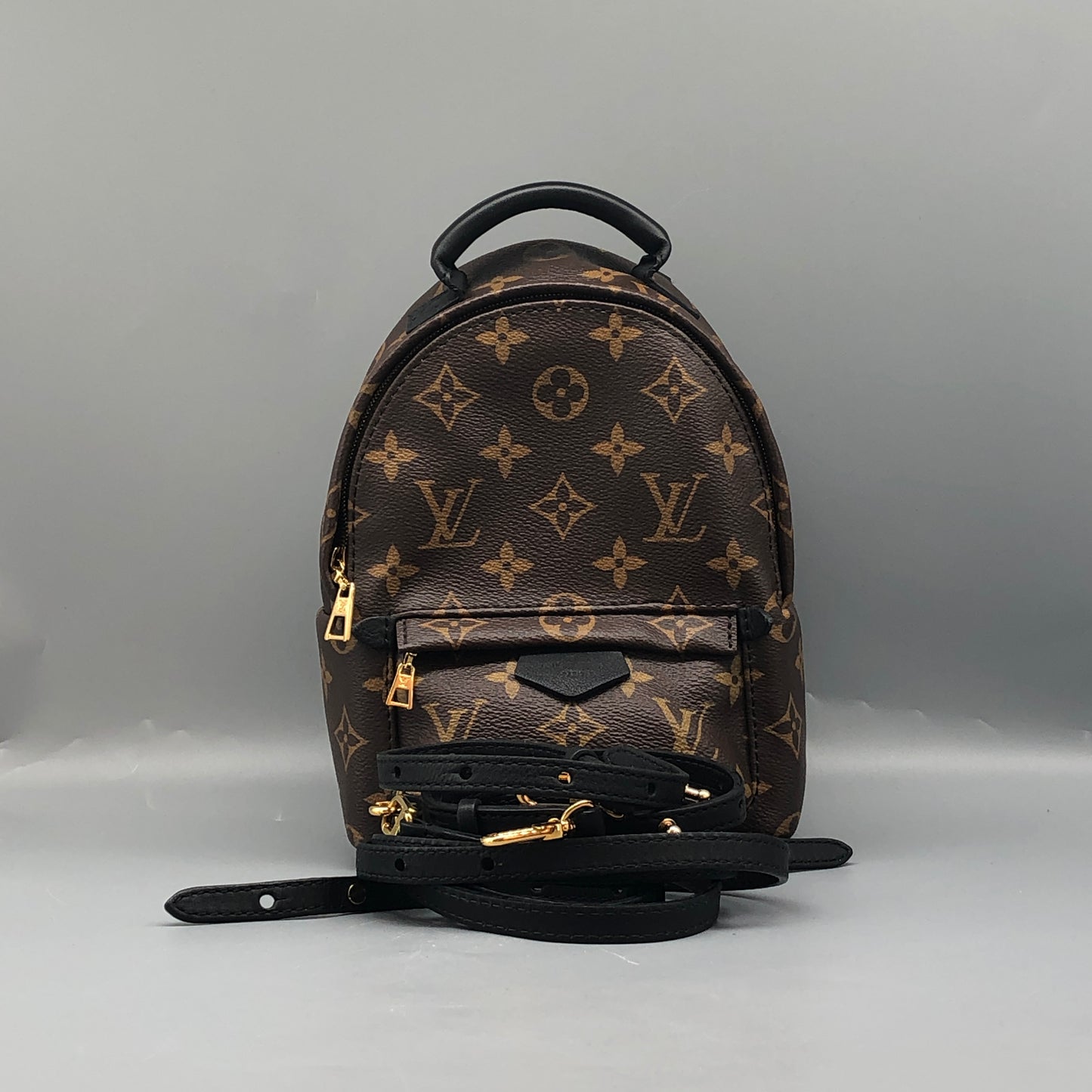 Louis Vuitton Palm Springs Mini Backpack Bag