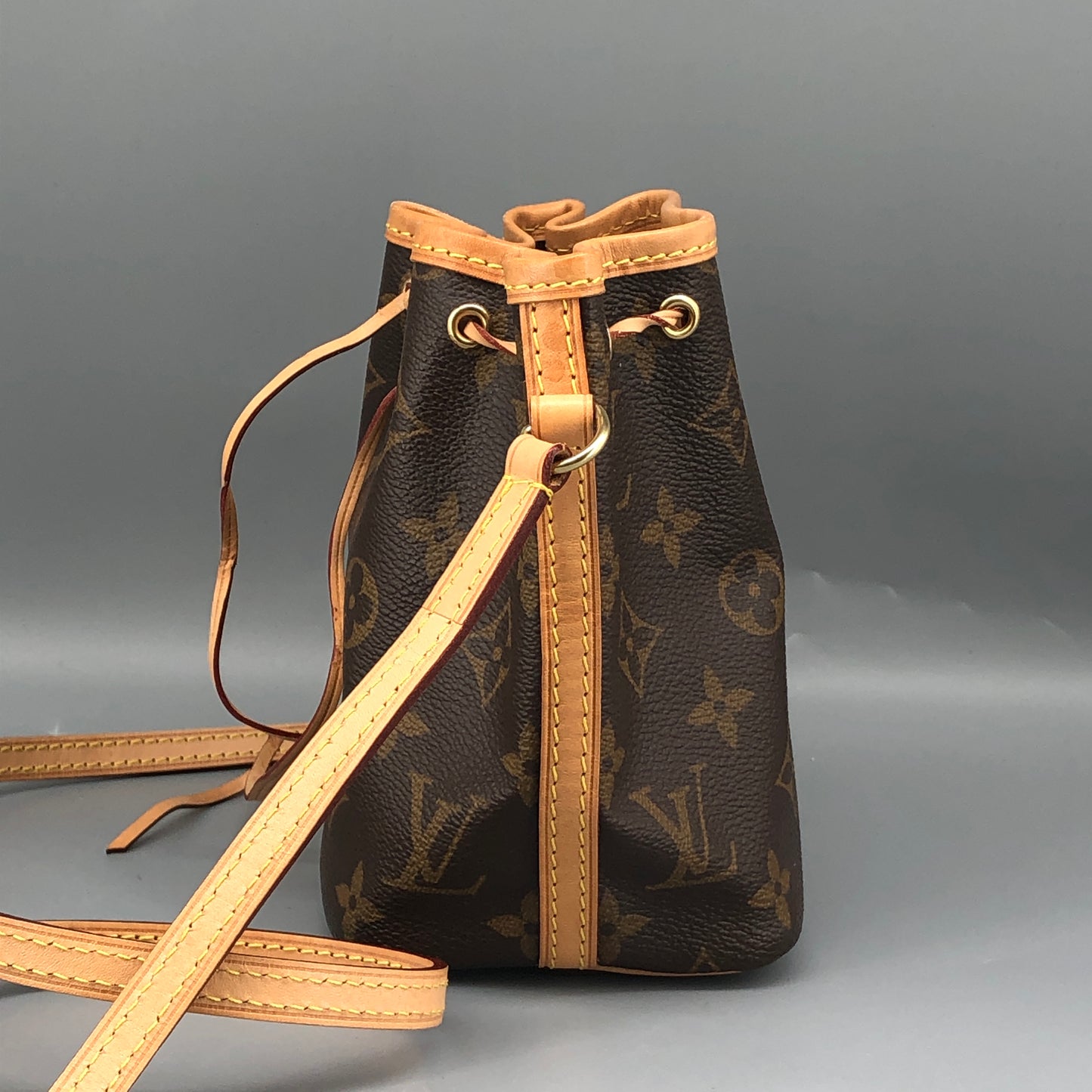 Louis Vuitton Classic Monogram Nano Noé Bucket Drawstring Crossbody Bag