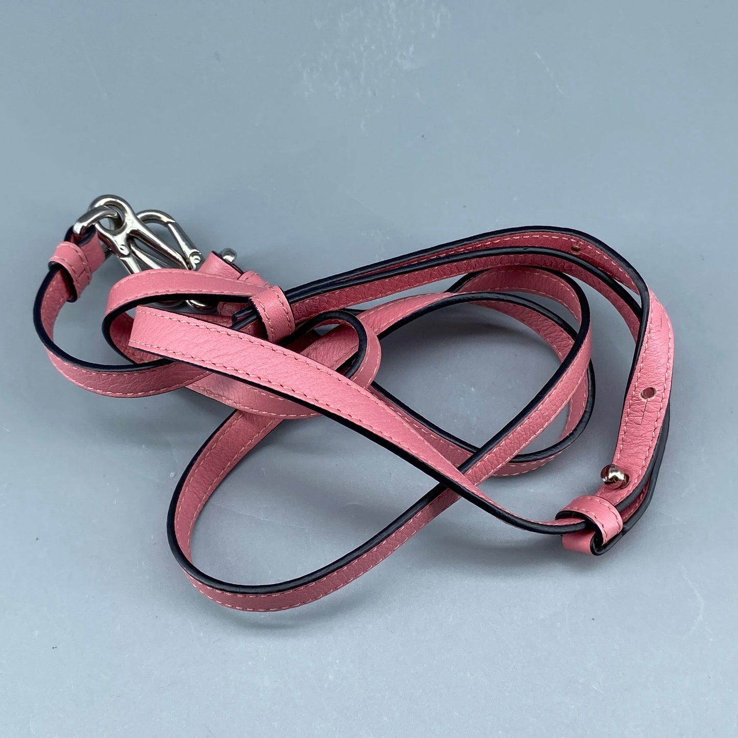 Loewe Pink Leather Elephant Crossbody Bag