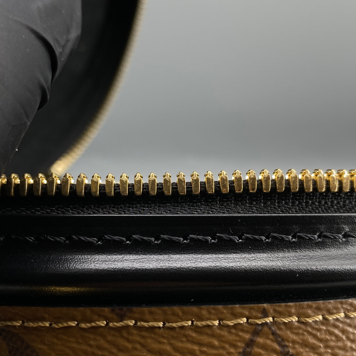 Louis Vuitton Reverse Monogram Cannes Bucket Bag