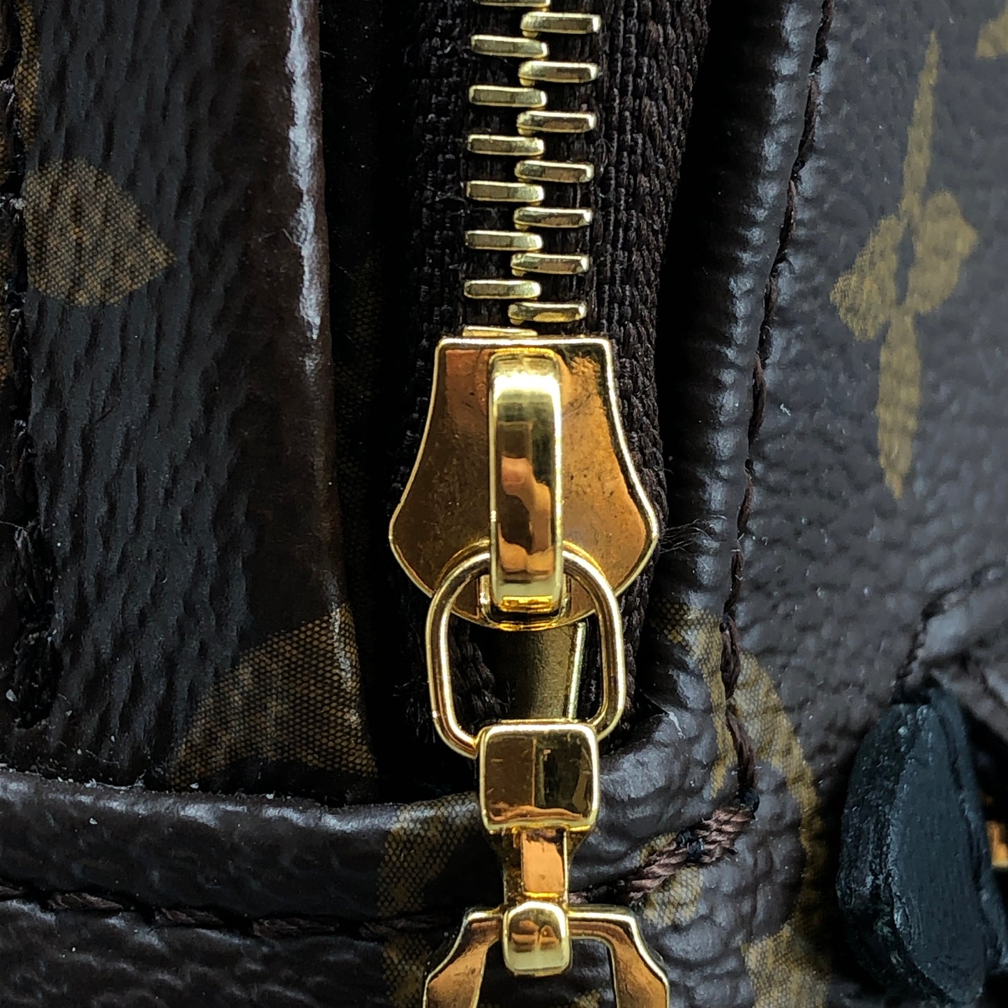 Louis Vuitton Mini Monogram Palm Spring Canvas Backpack Brown