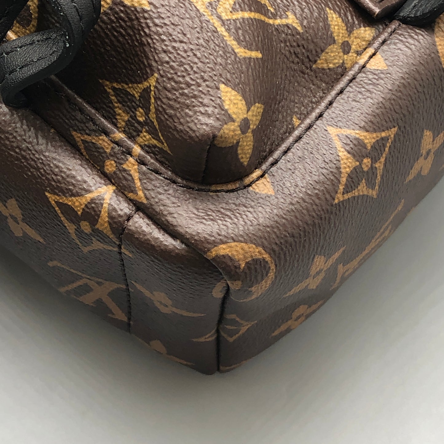 Louis Vuitton Palm Springs Mini Backpack Bag