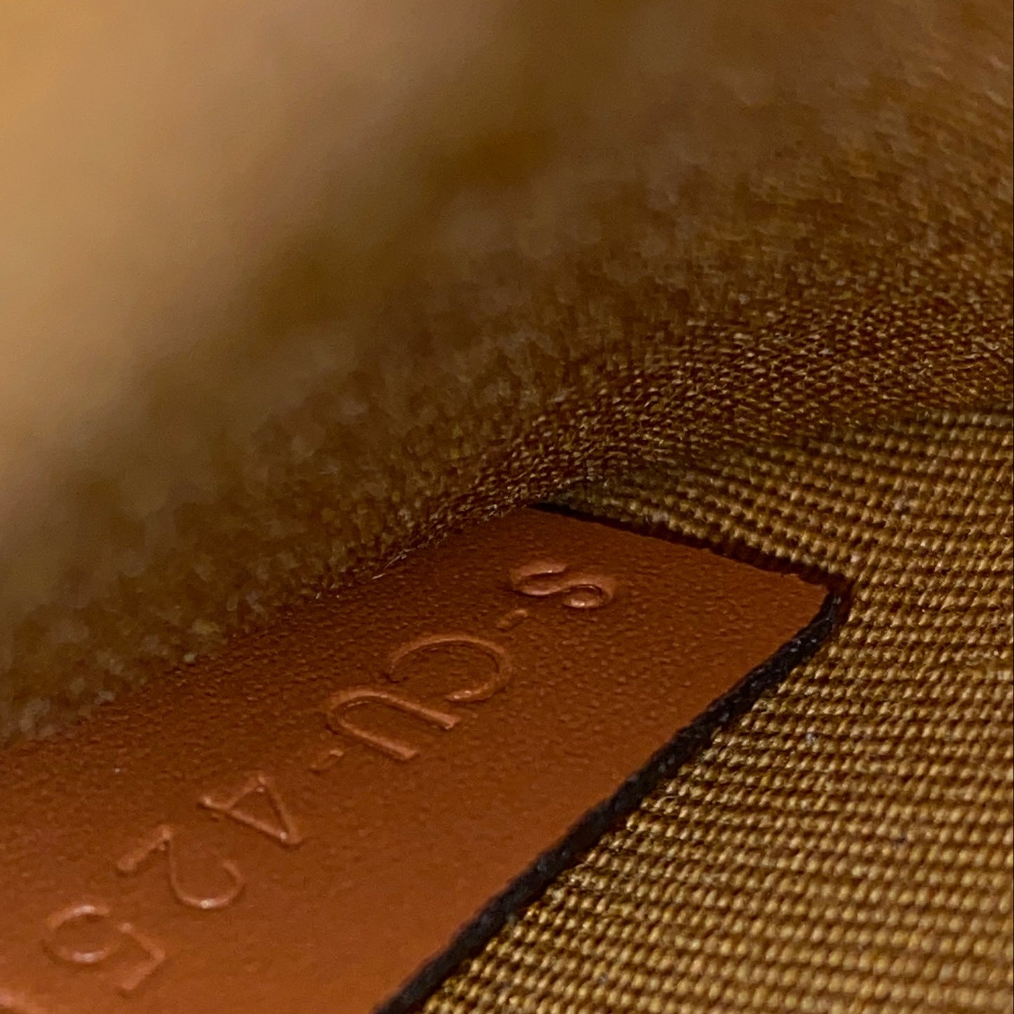 Celine Triomphe Canvas Leather Trim Saddle Crossbody Bag